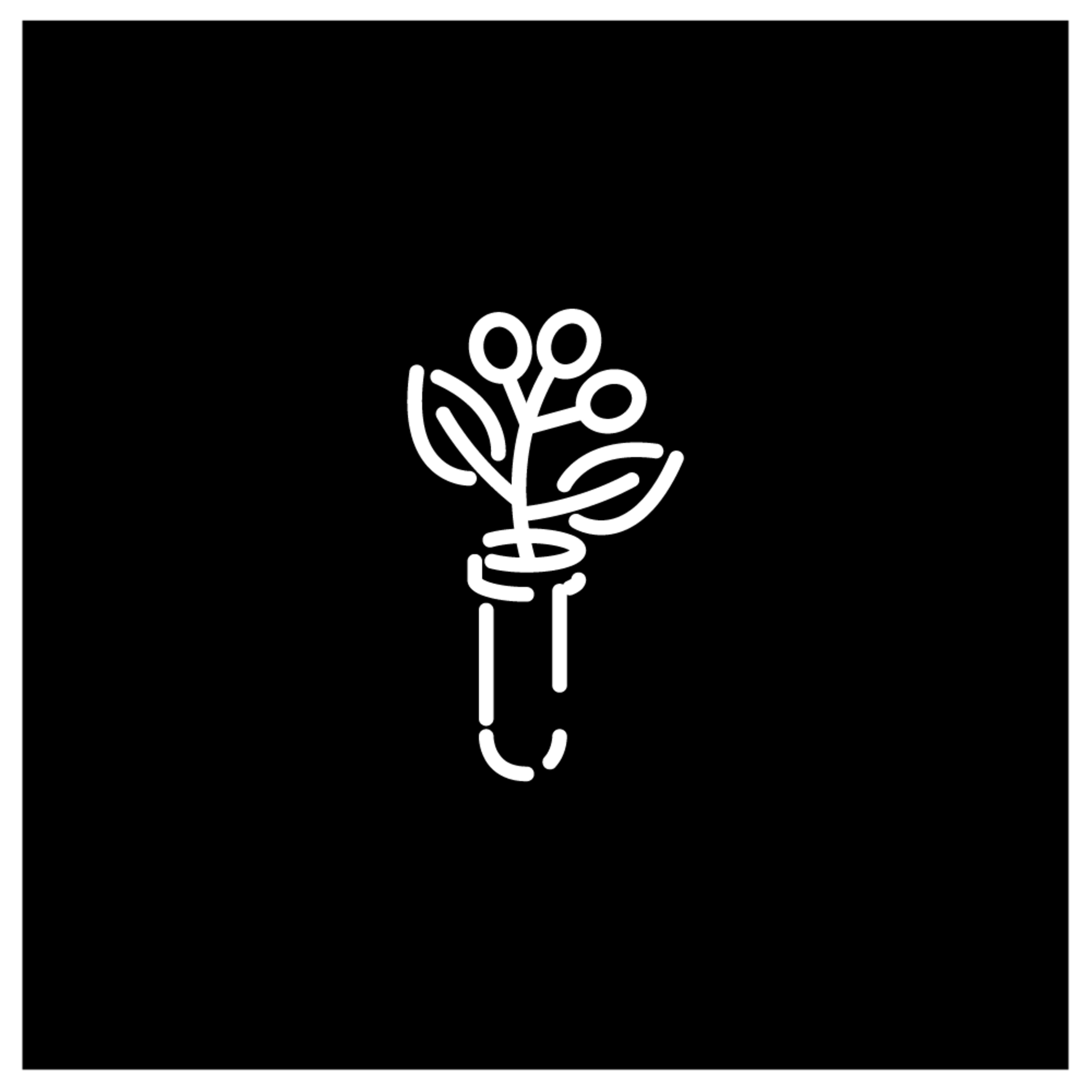 Challenge extracted. Co wpływa na smak kawy?