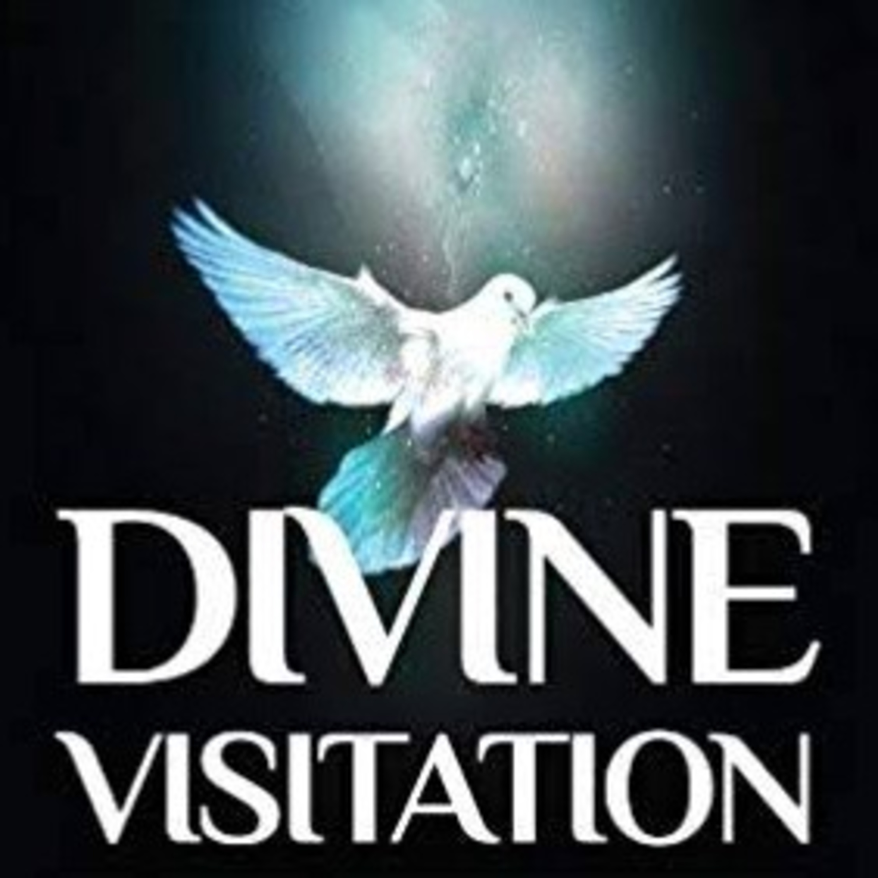 Divine Visitation Part 2 episode artwork
