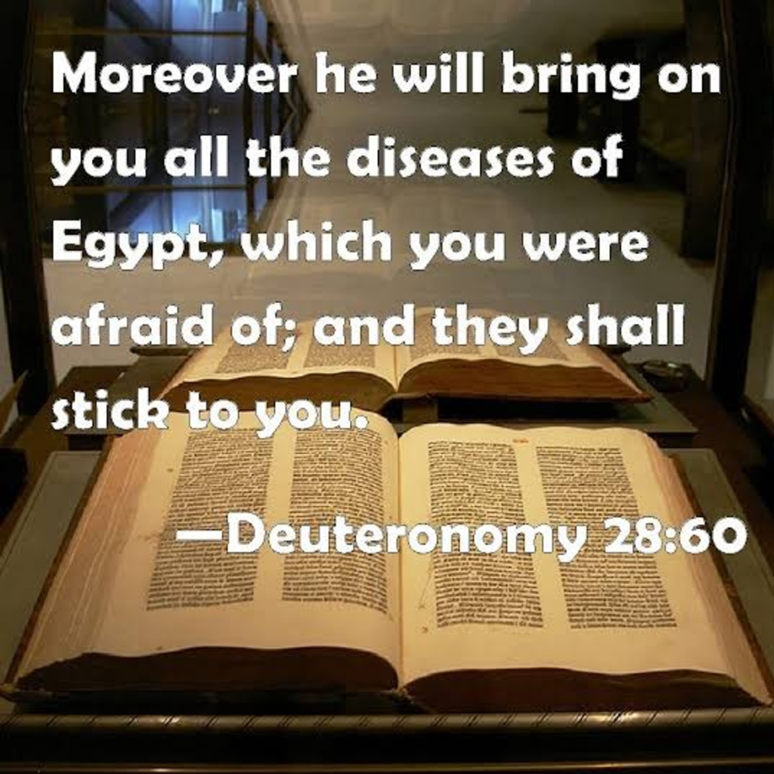 None Of These Diseases