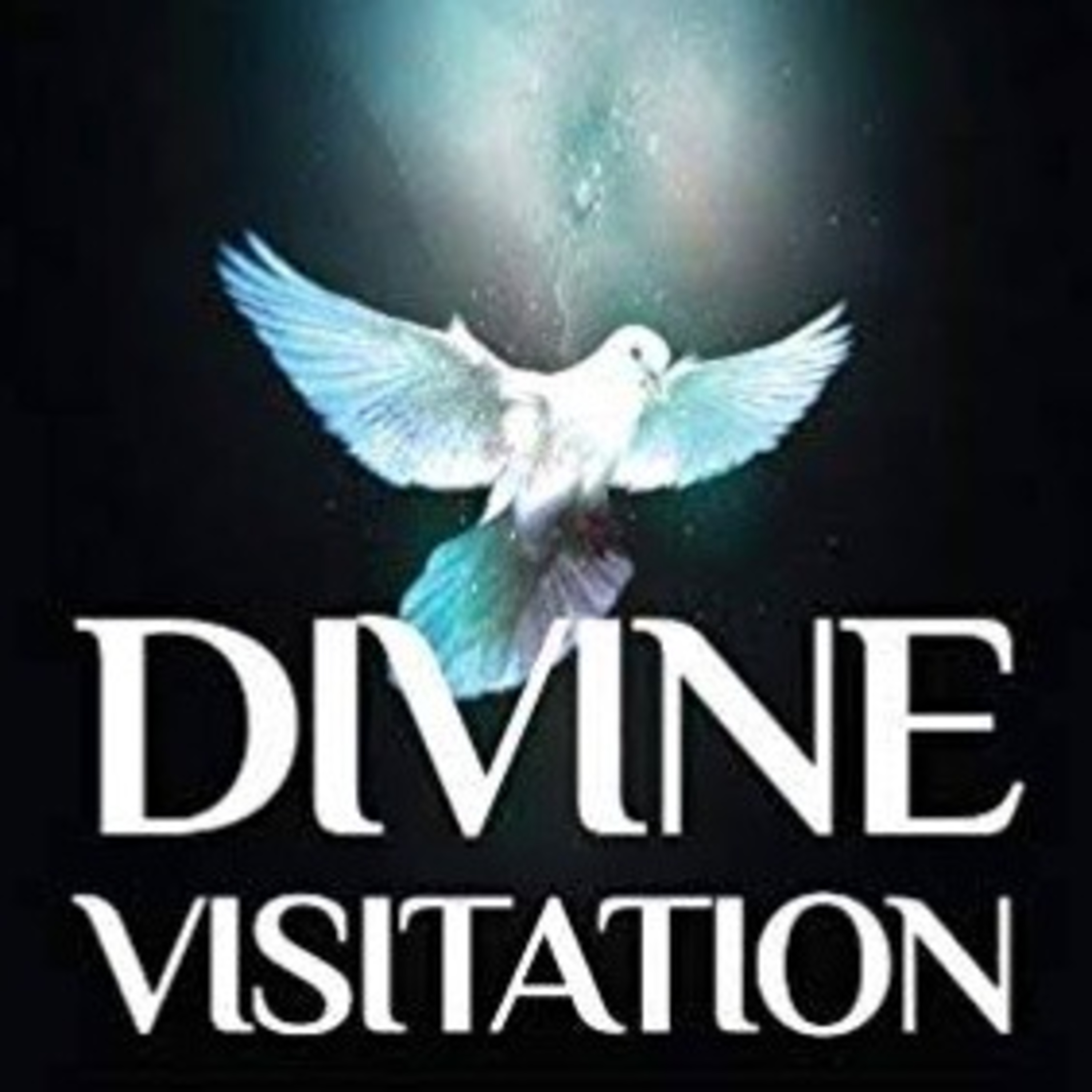 Divine Visitation Part 3 episode artwork