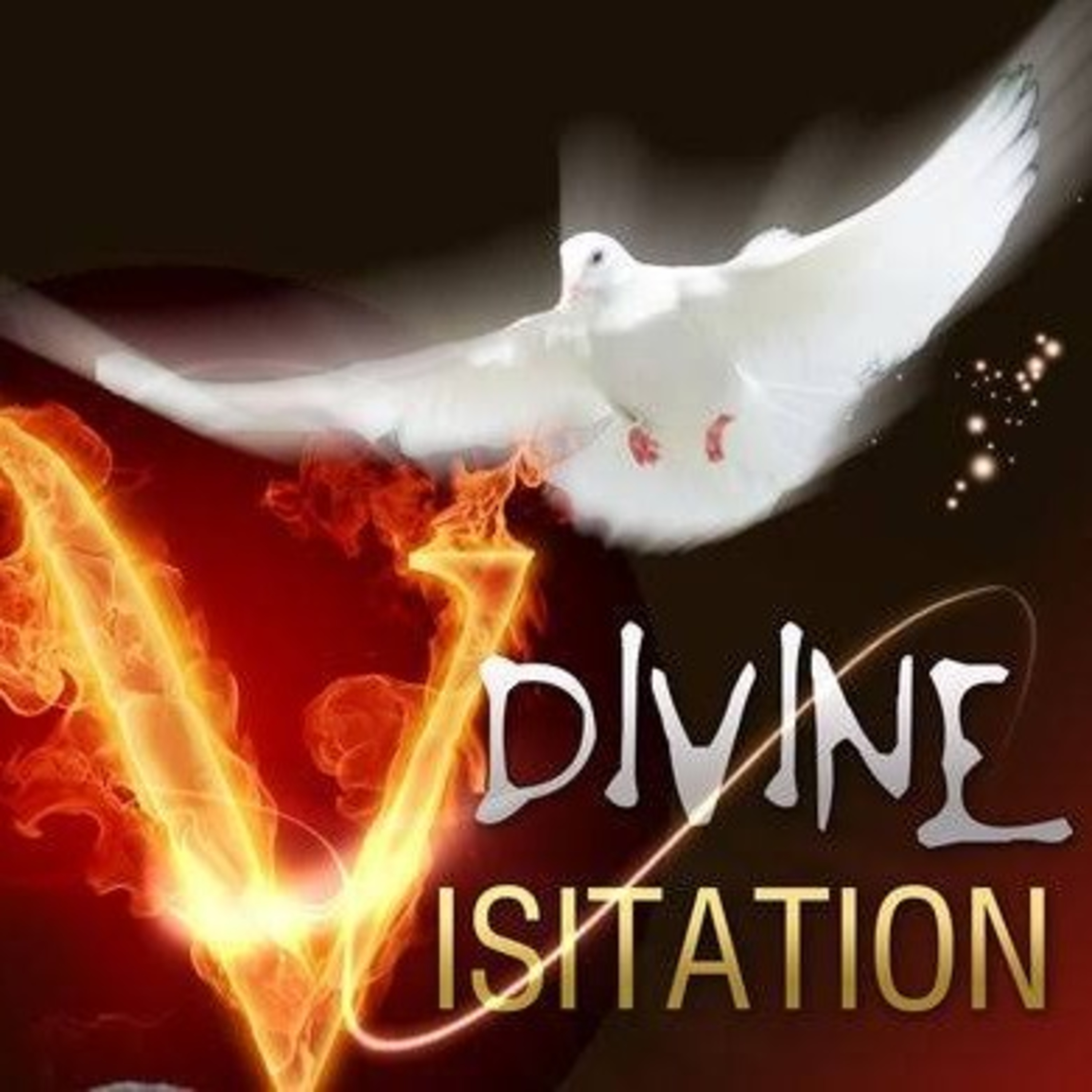 DIVINE VISITATION PART 4 episode artwork