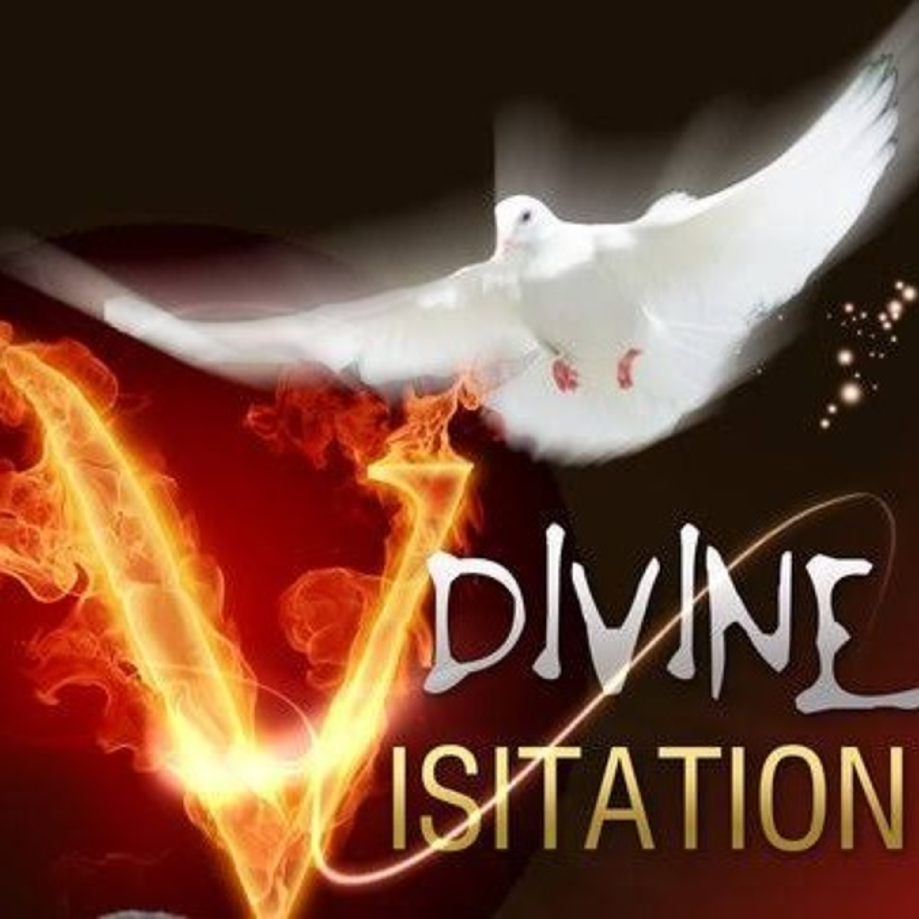 Divine Visitation Part 5 episode artwork