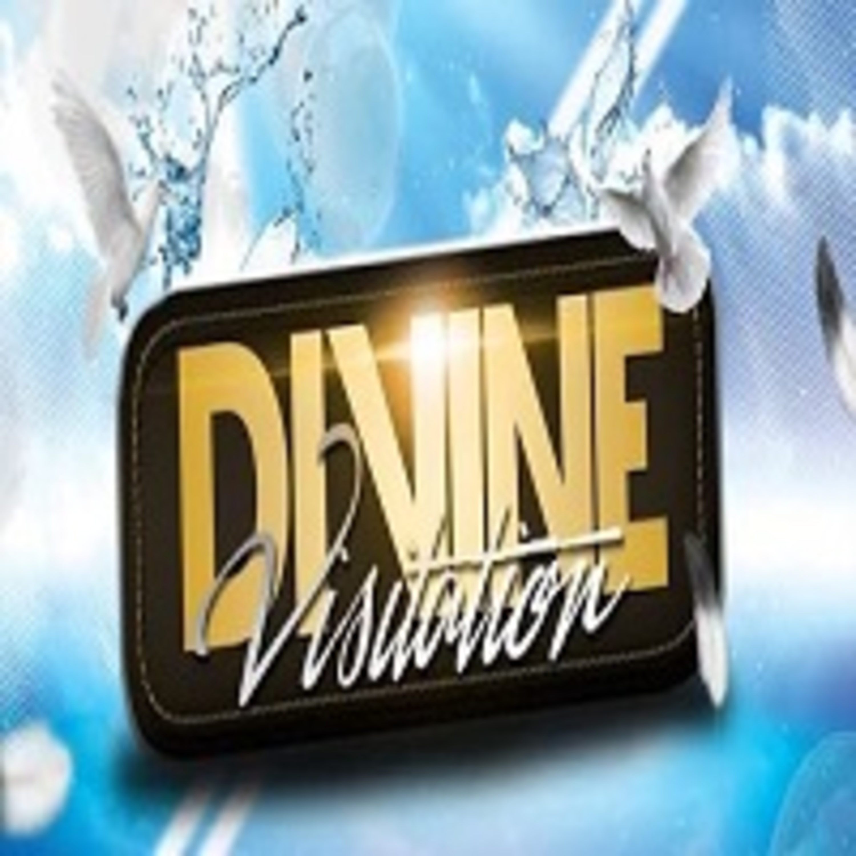 Divine Visitation Part 3 episode artwork