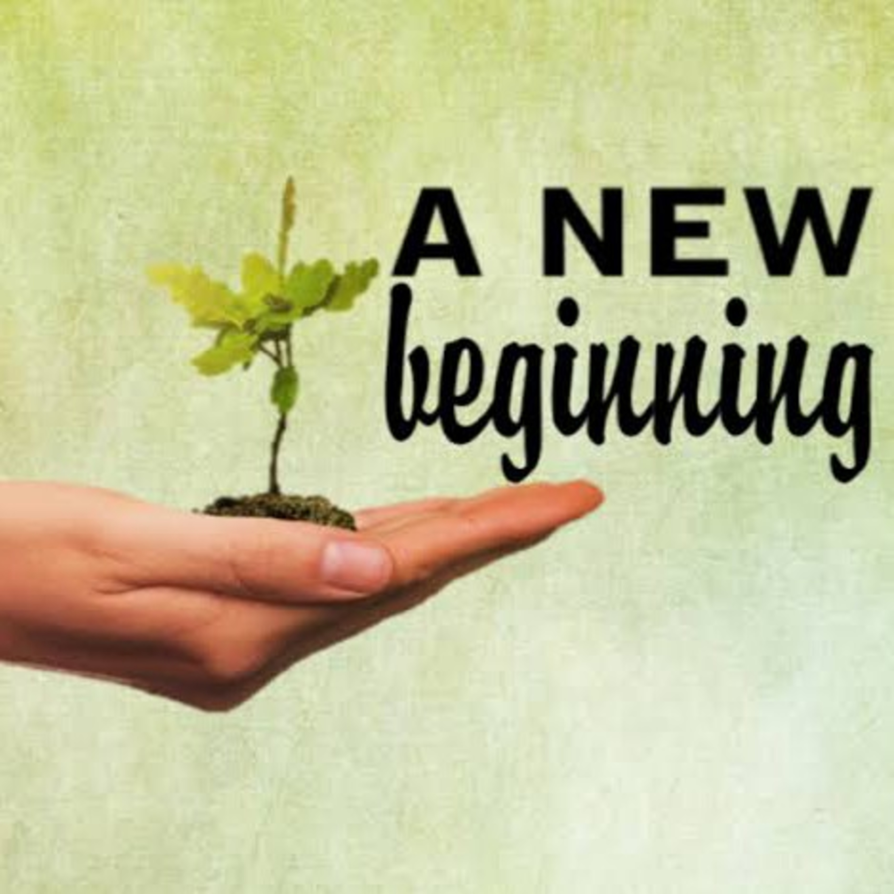 A NEW BEGINNING episode artwork