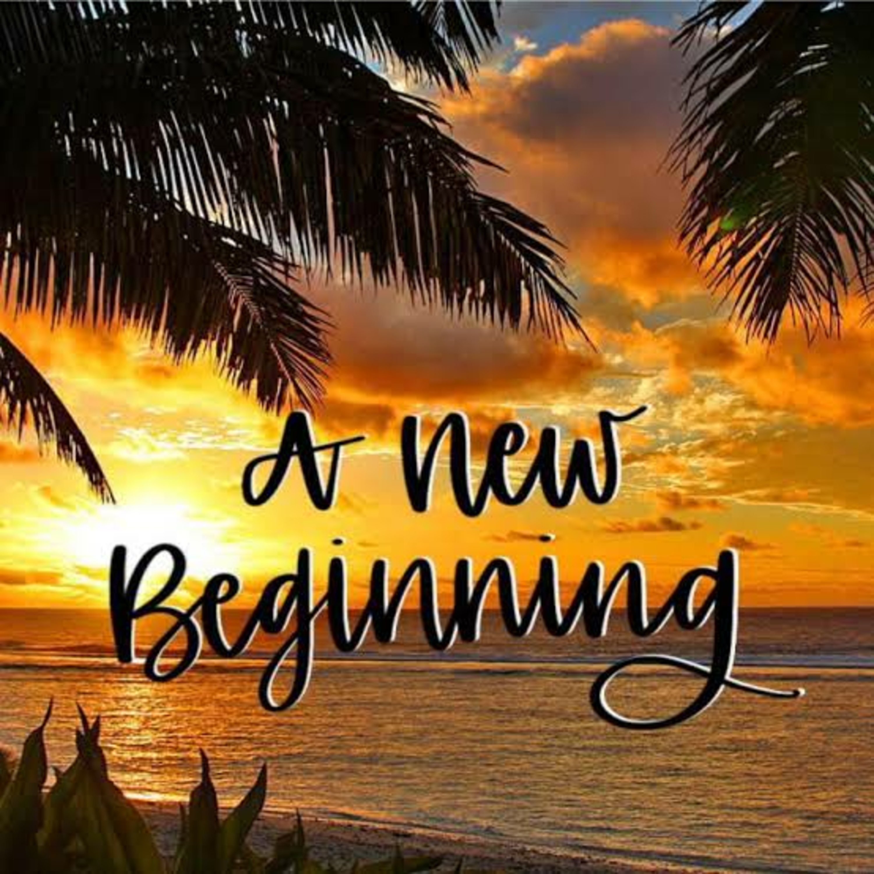 A NEW BEGINNING episode artwork