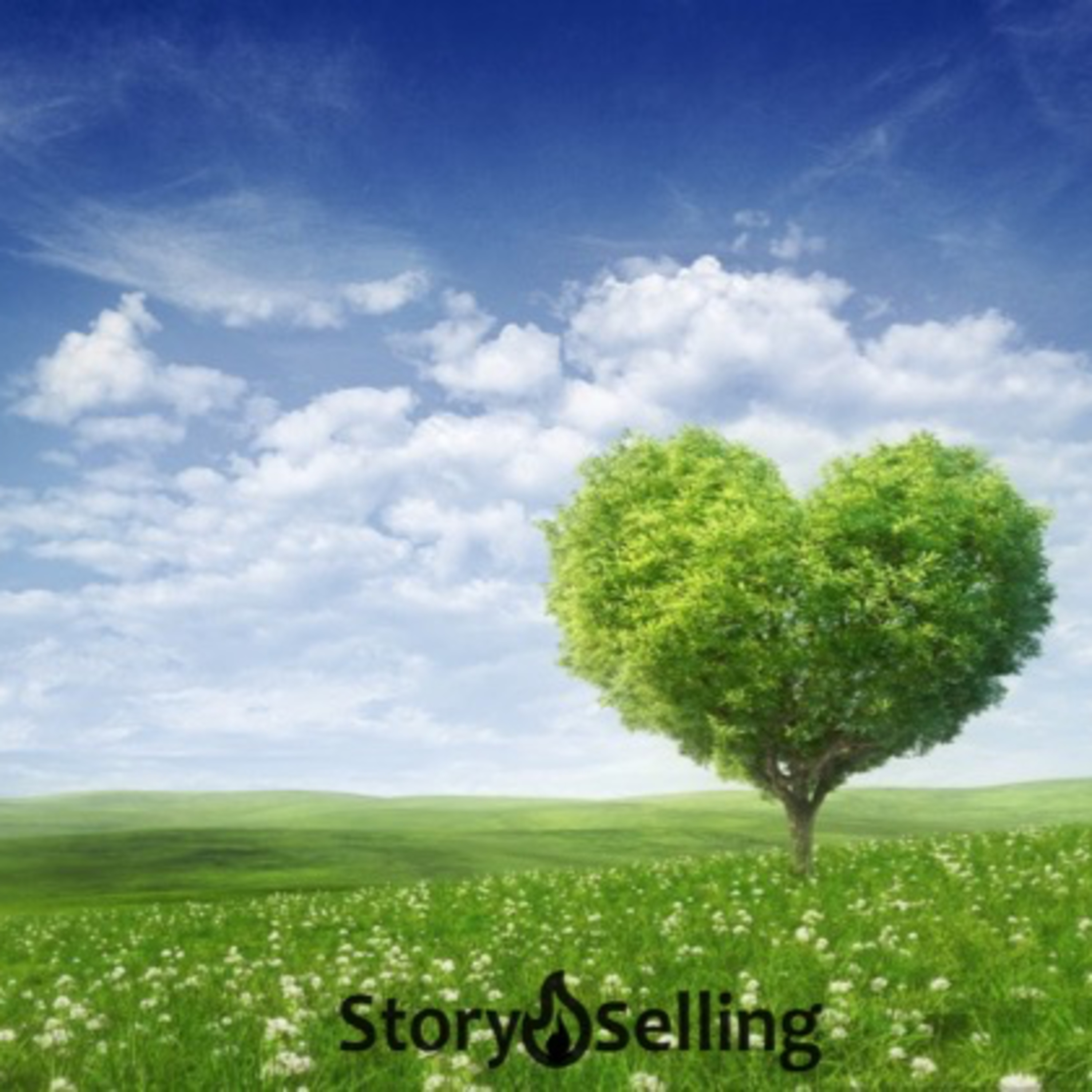 STORYSELLING com Claudio Diogo