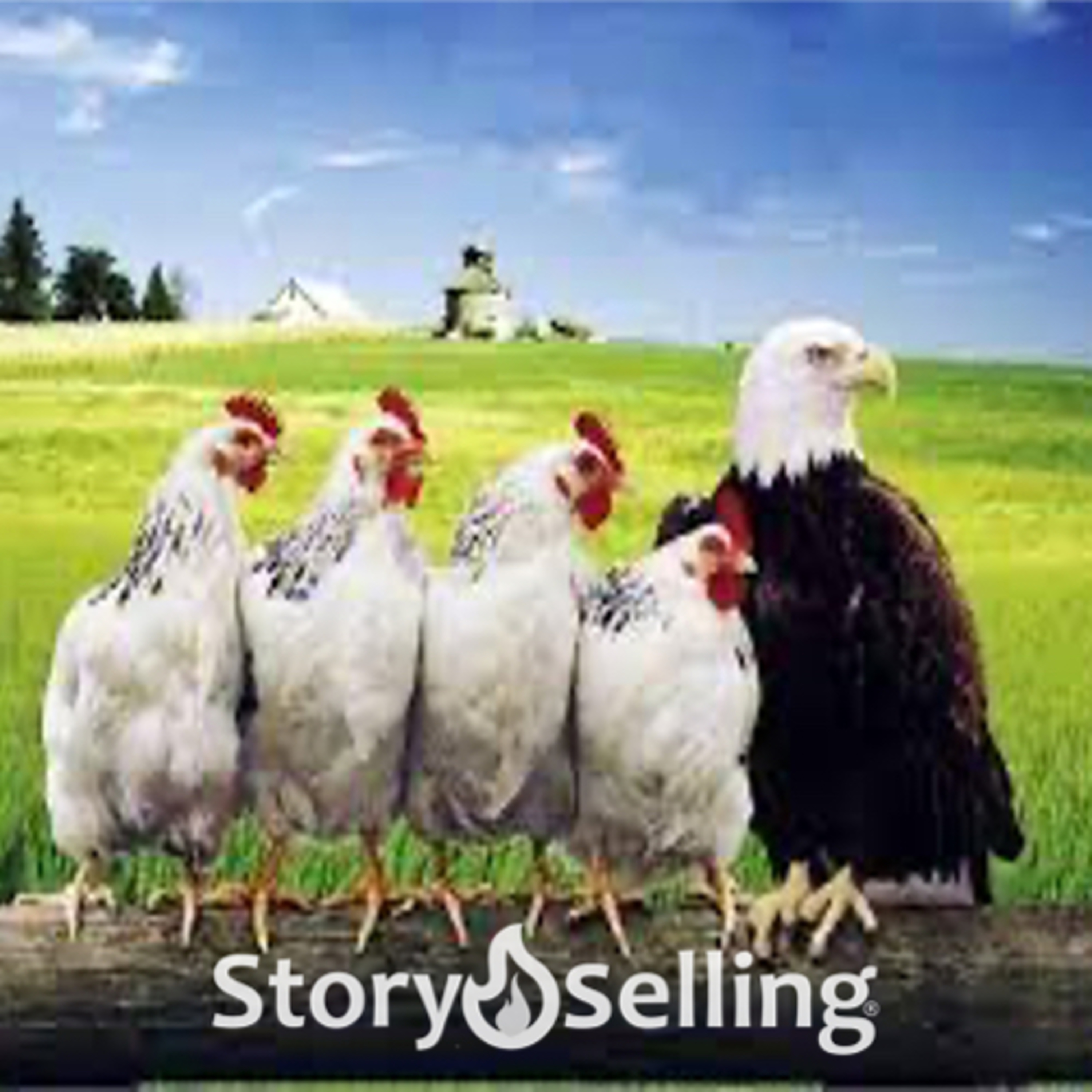 STORYSELLING com Claudio Diogo
