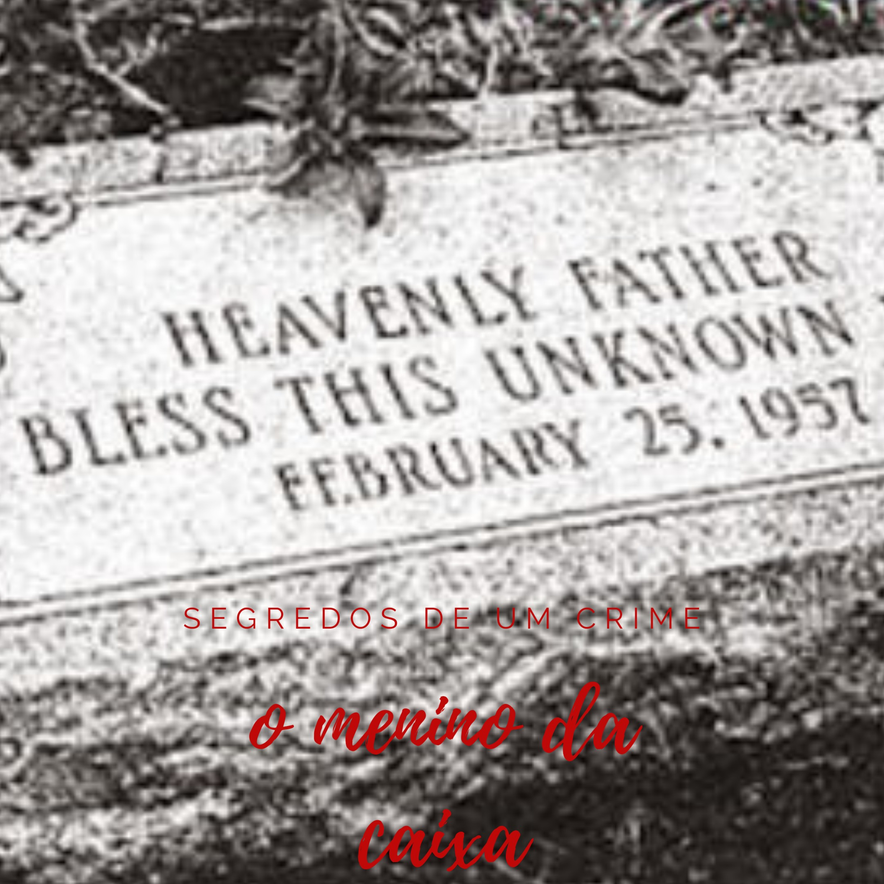 Segredos De Um Crime