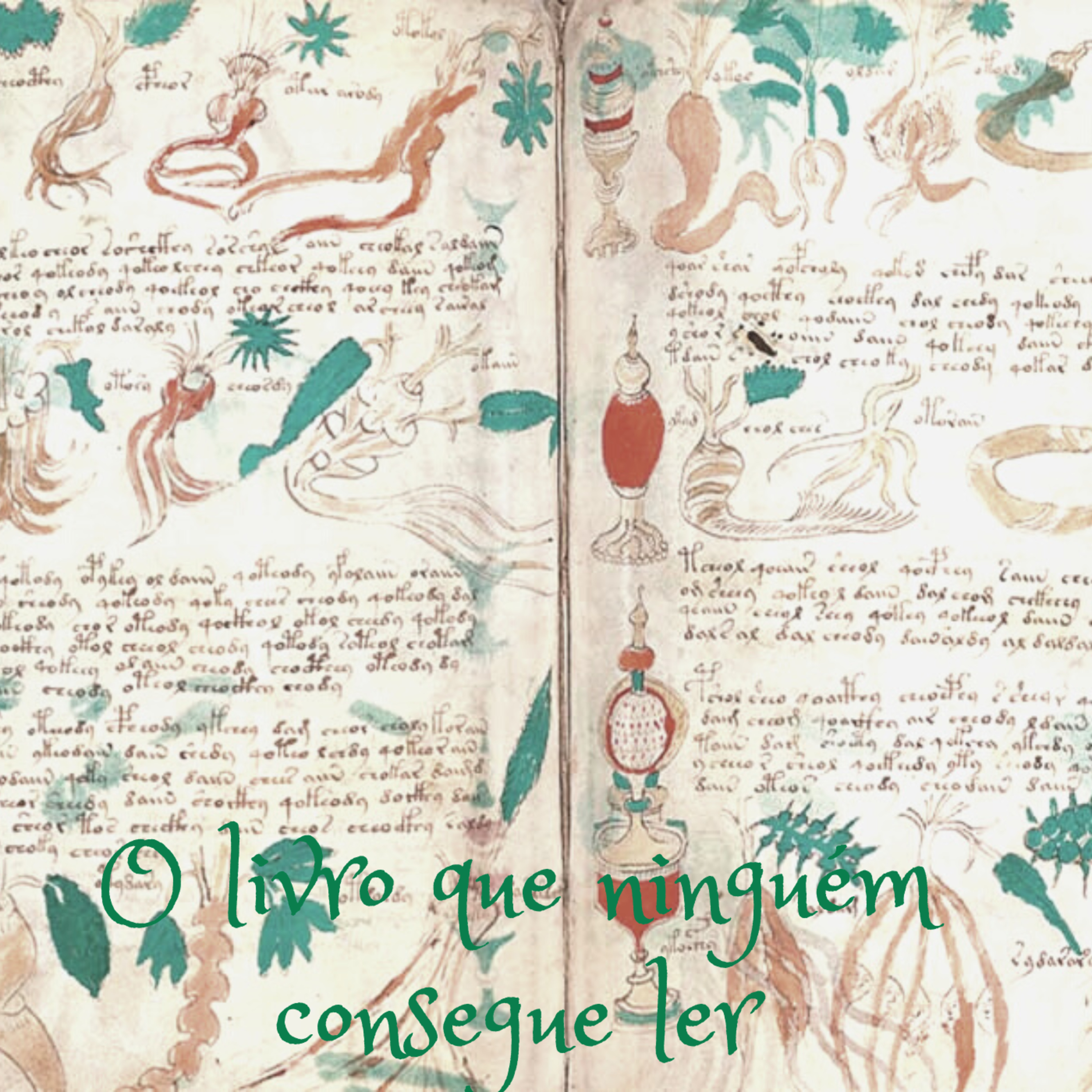 Segredos De Um Crime