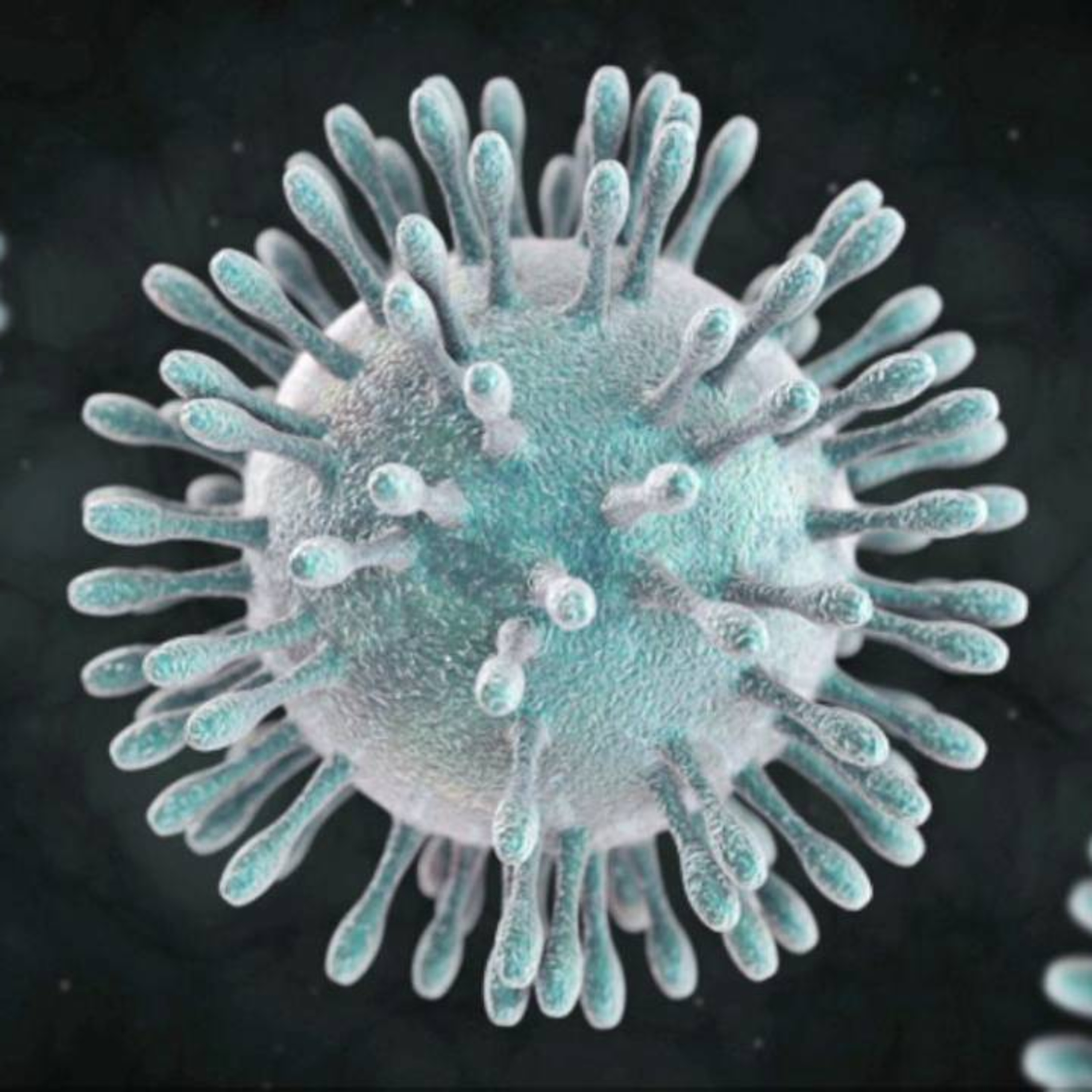 ¿Como cuidarme del coronavirus?