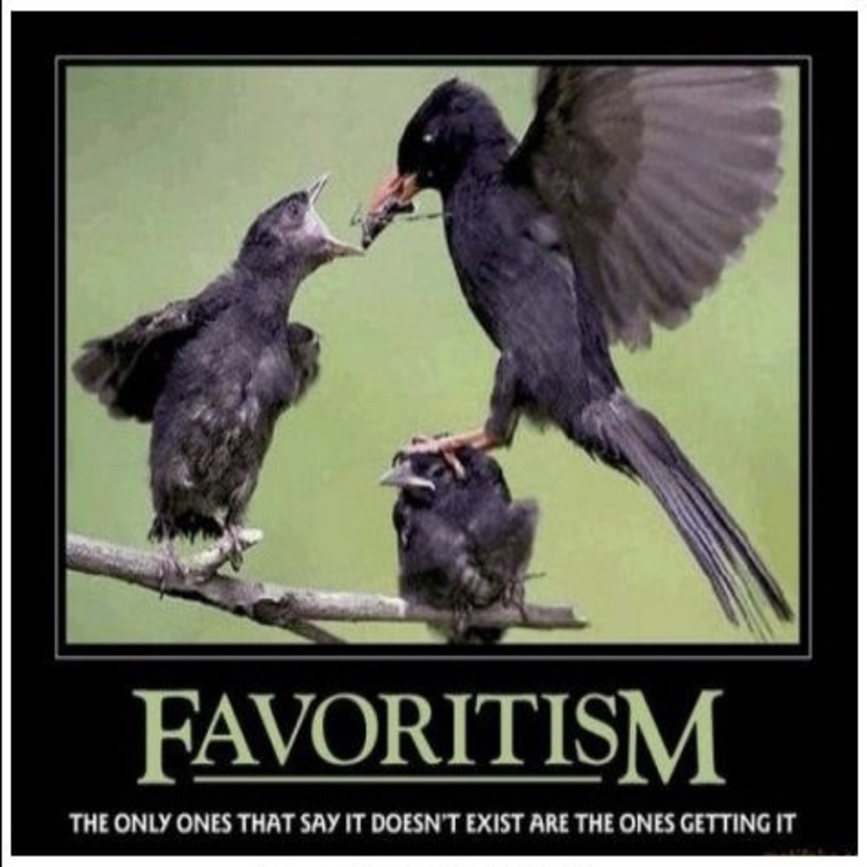 Subtle favoritism episode artwork