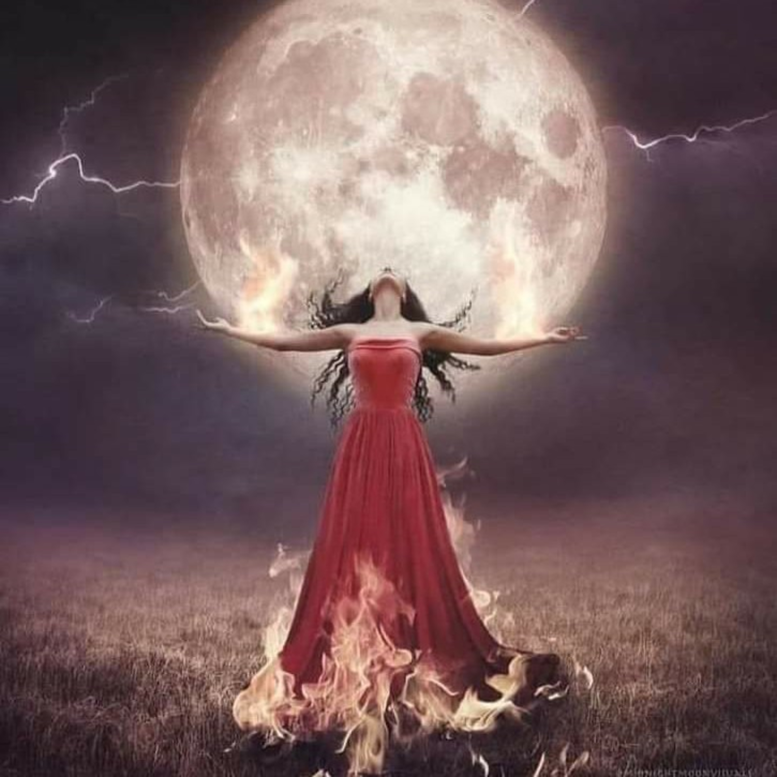 Sara, el Camino de la Rosa