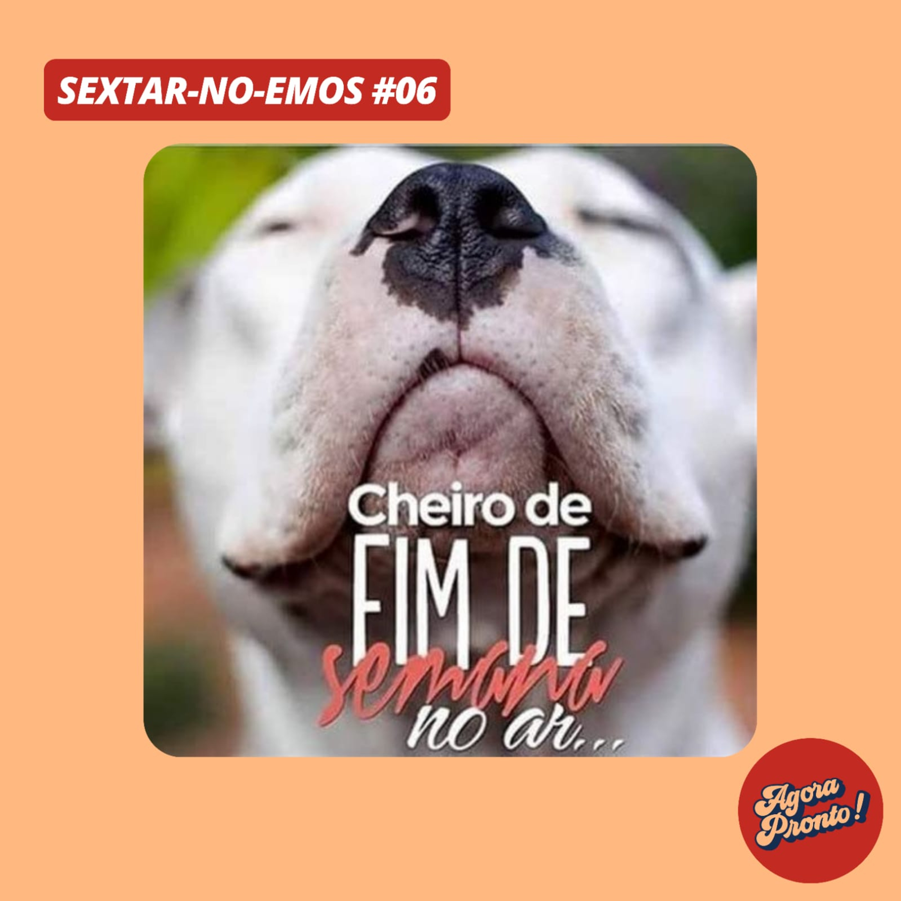 Agora Pronto Podcast