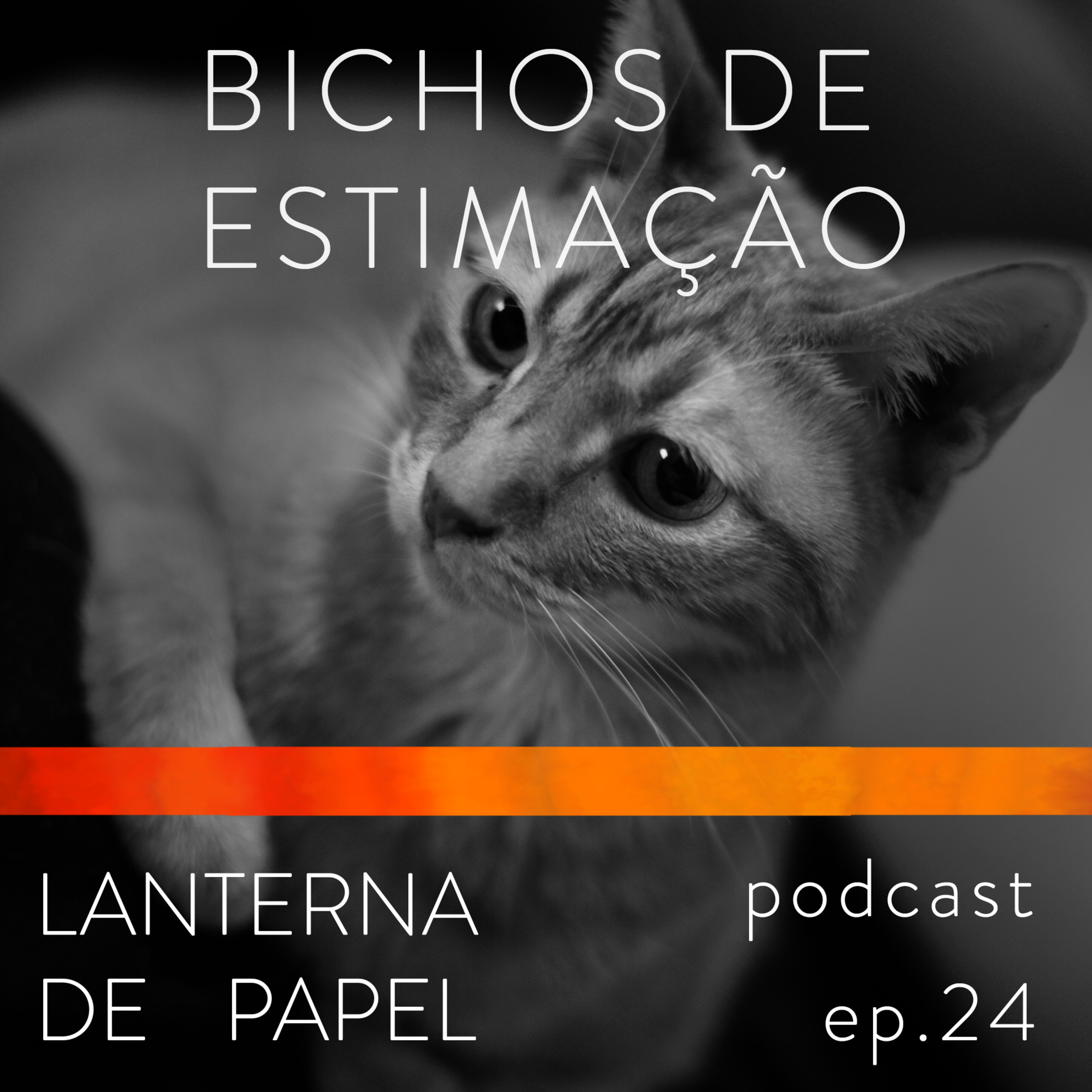 Lanterna de Papel