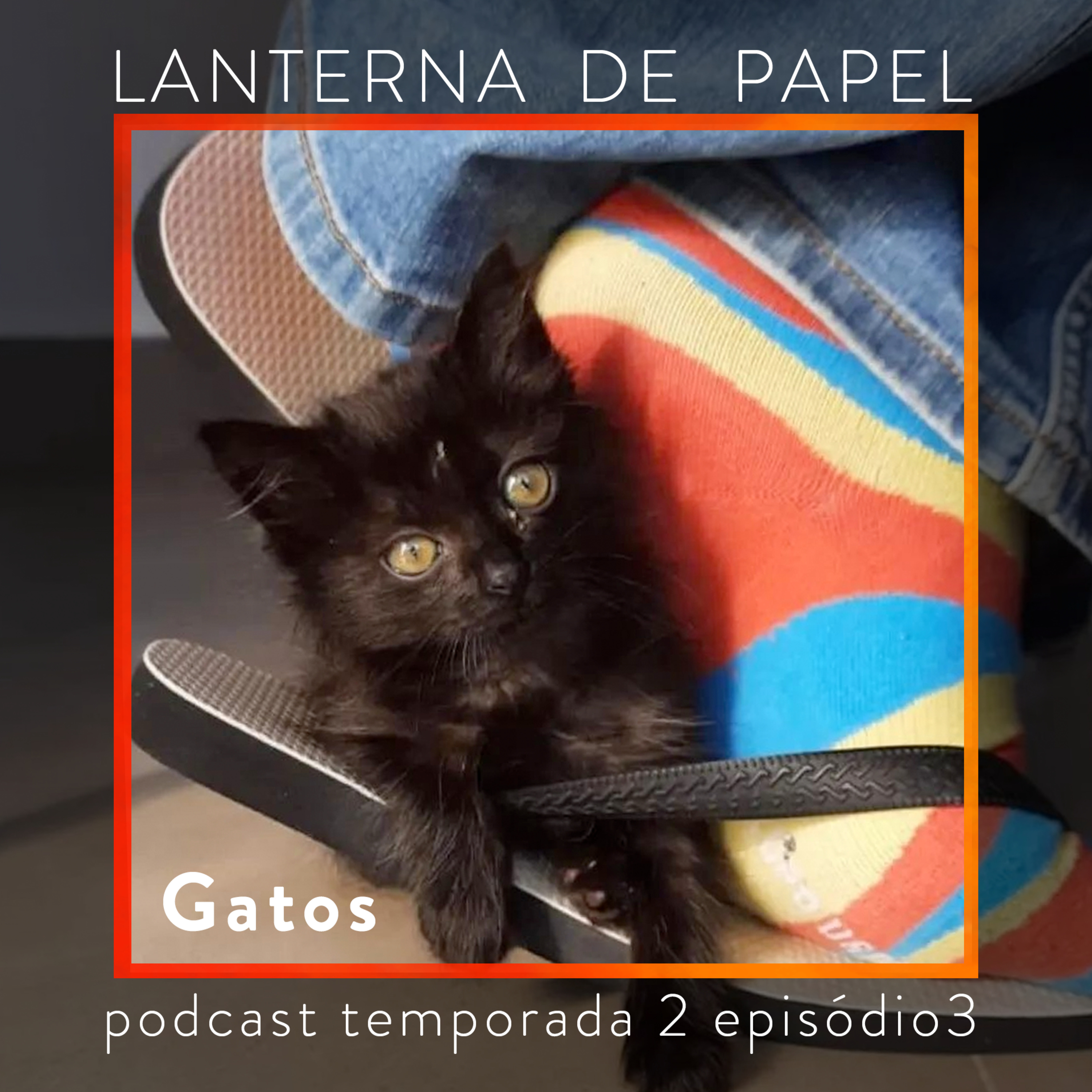 Lanterna de Papel