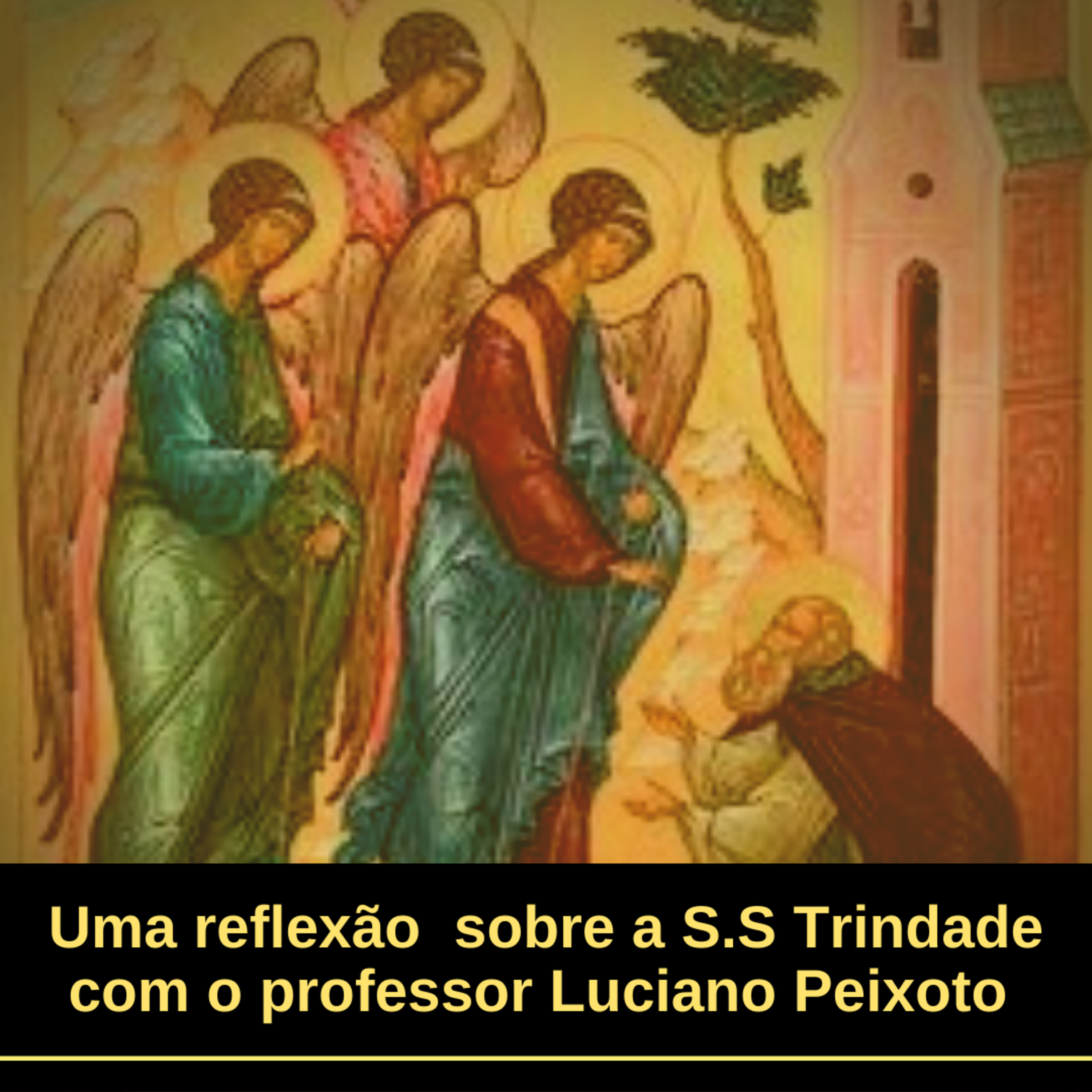 Professor Luciano Peixoto