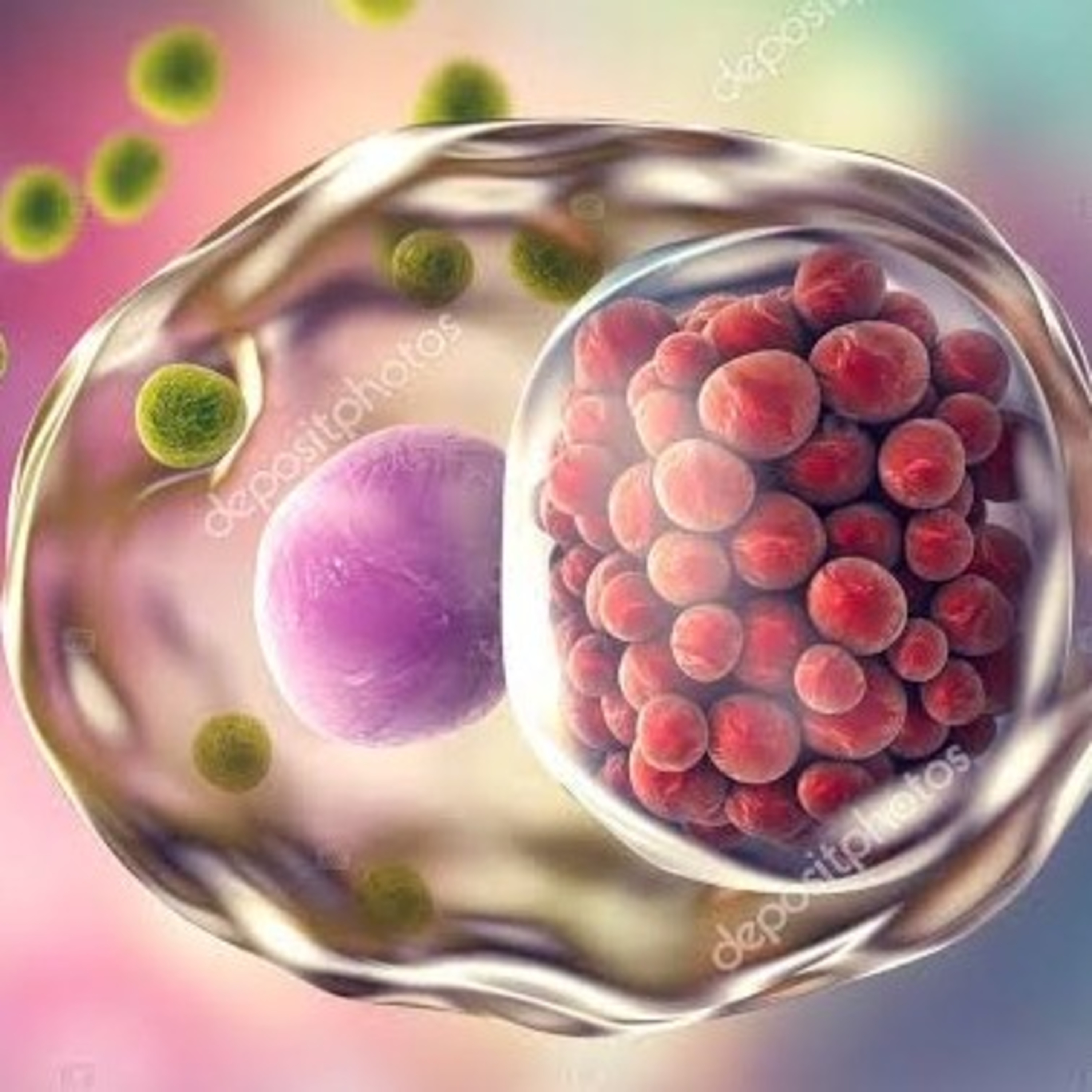 Chlamydia Trachomatis, la famosa infección de transmisión sexual silenciosa