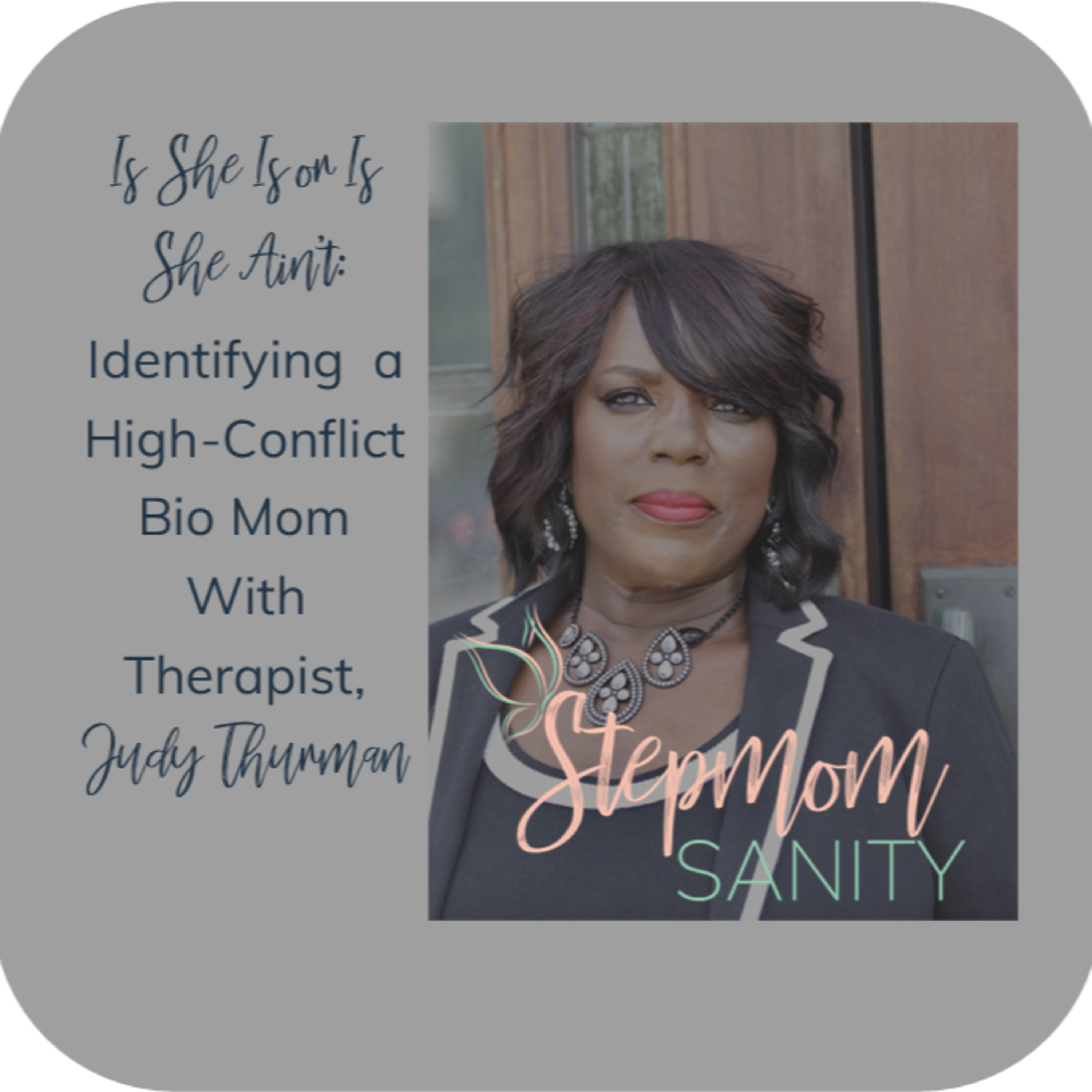 Is She Is or Is She Ain't: A Real High-Conflict Bio Mom