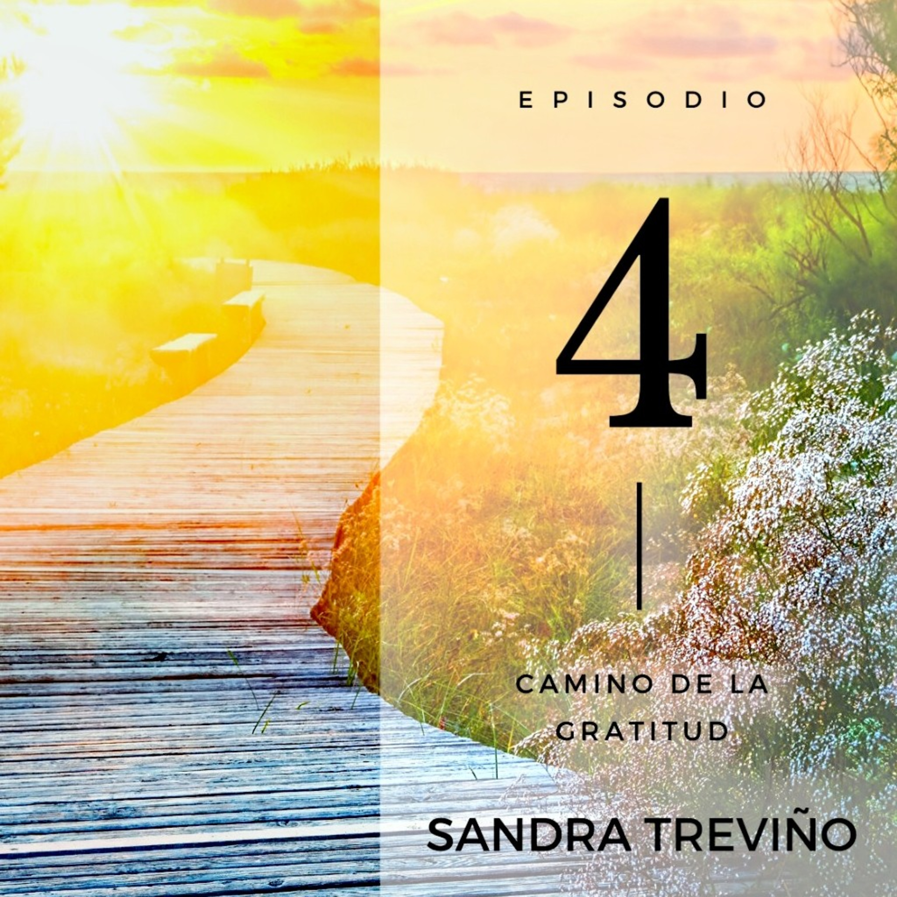 Sandra Treviño