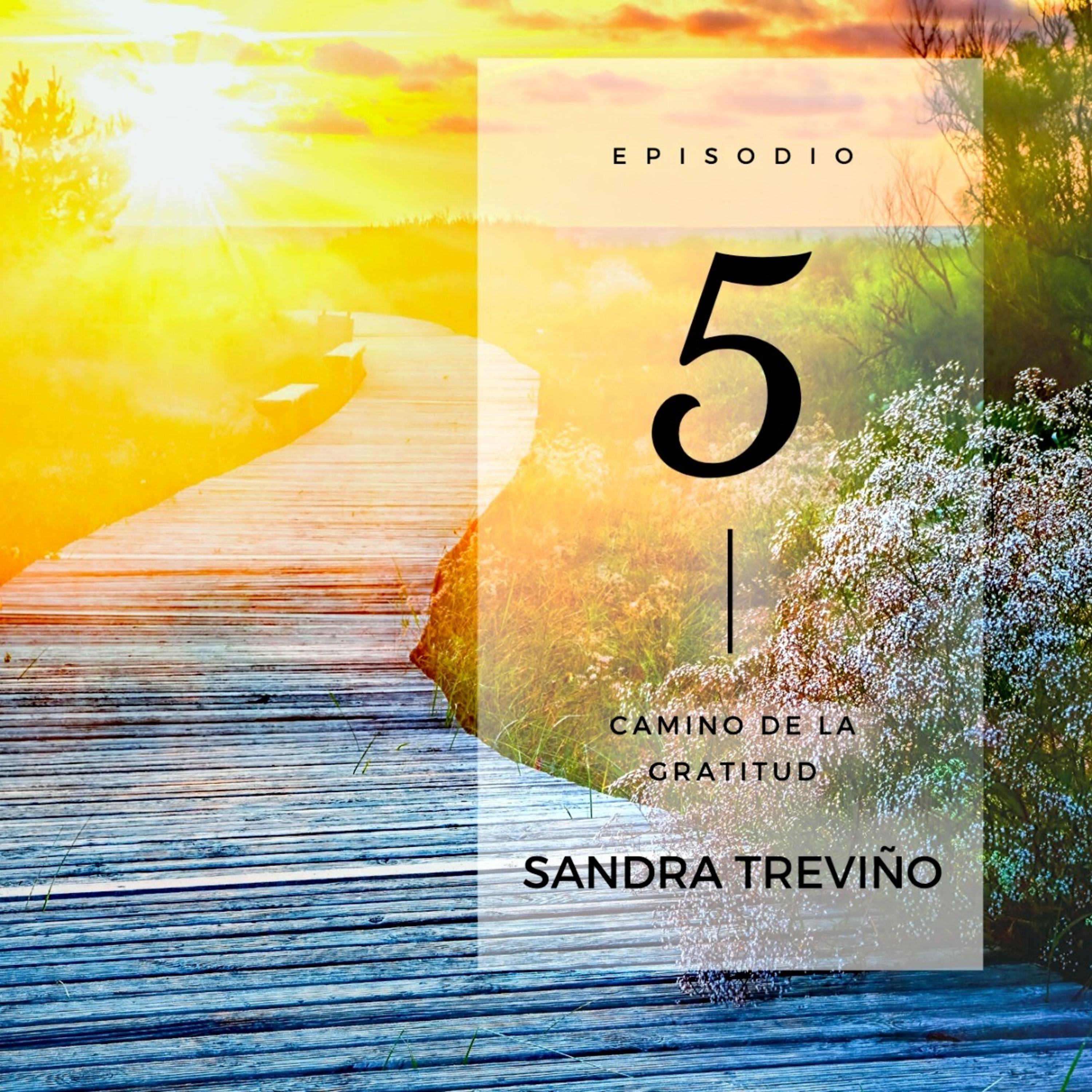 Sandra Treviño