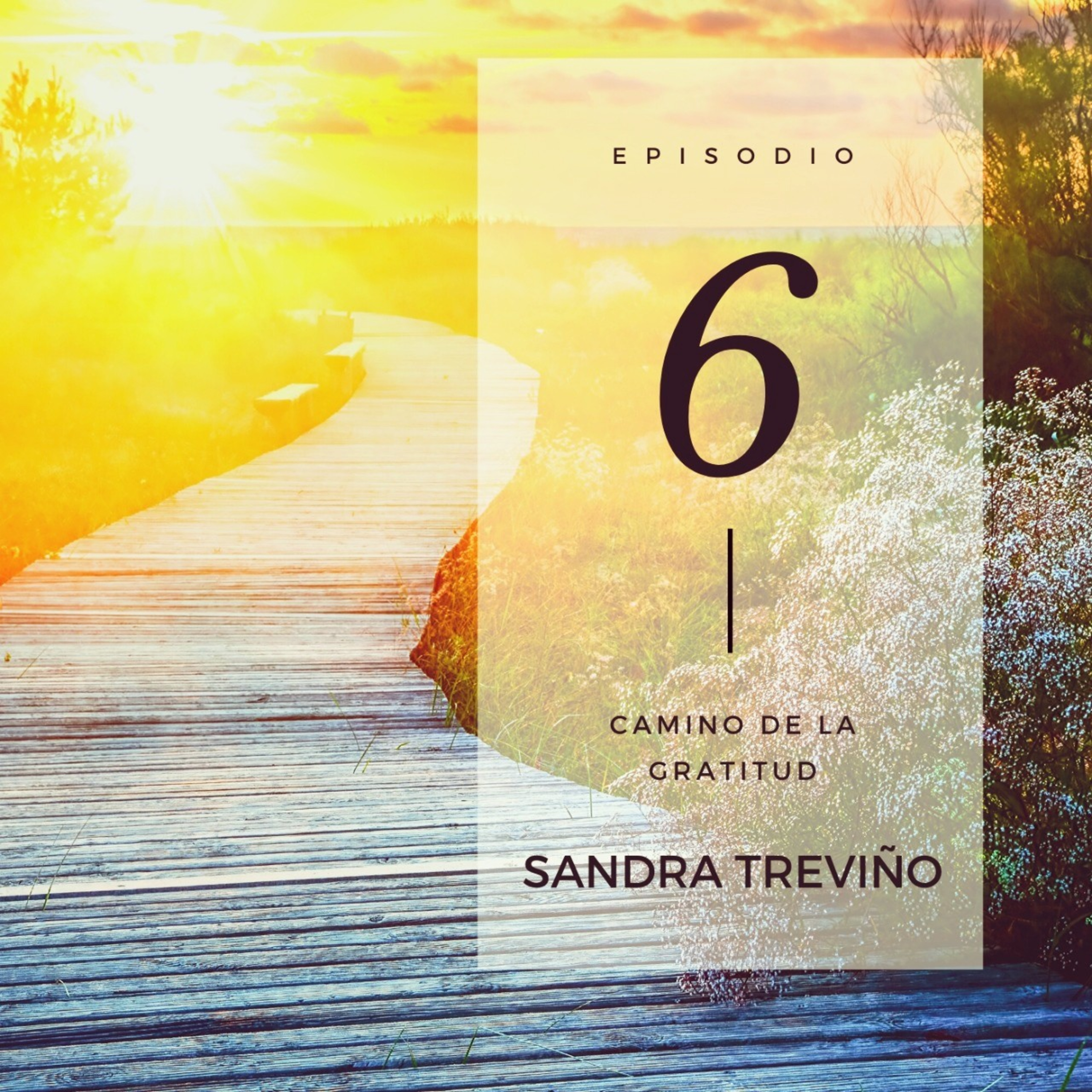 Sandra Treviño