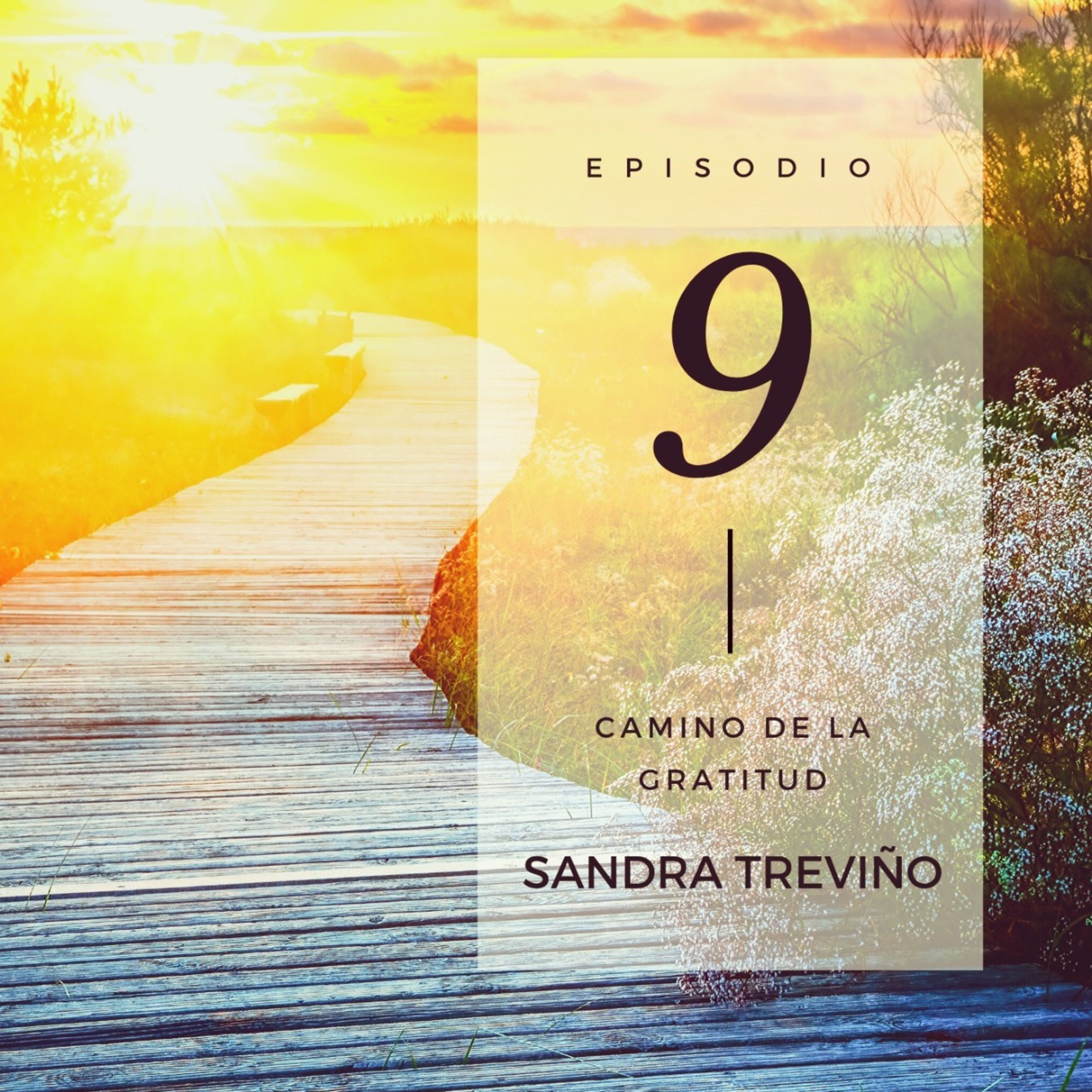 Sandra Treviño