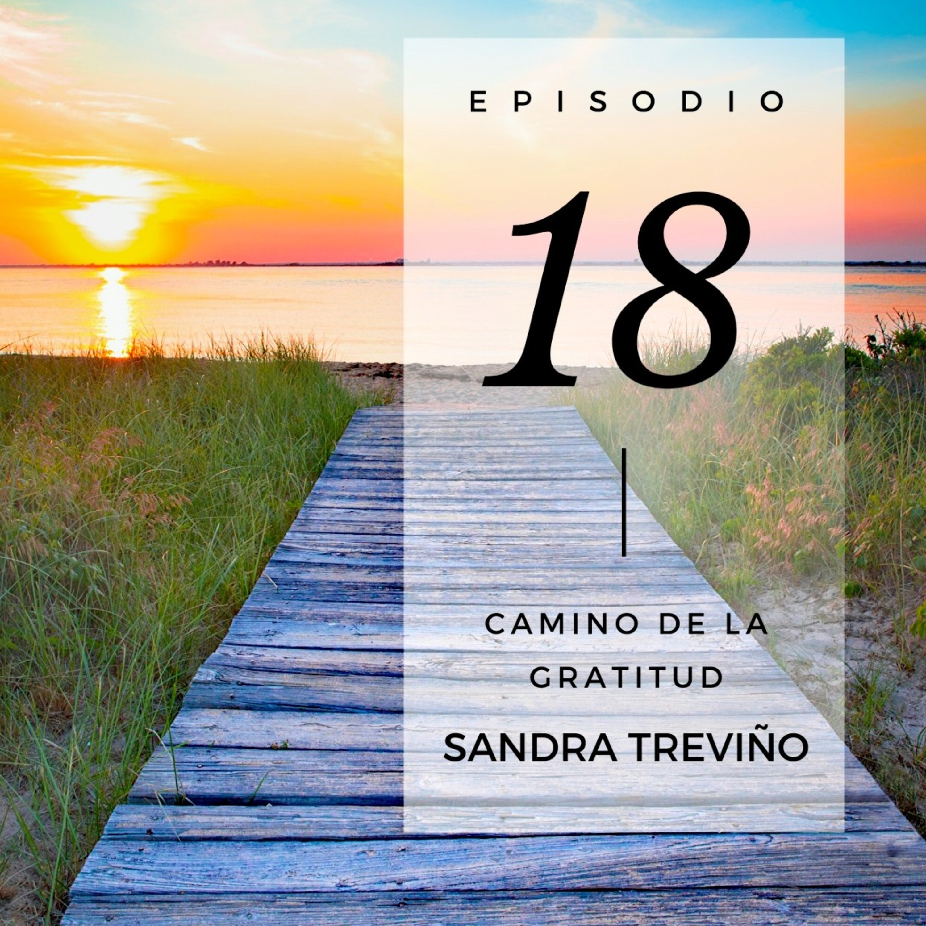 Sandra Treviño