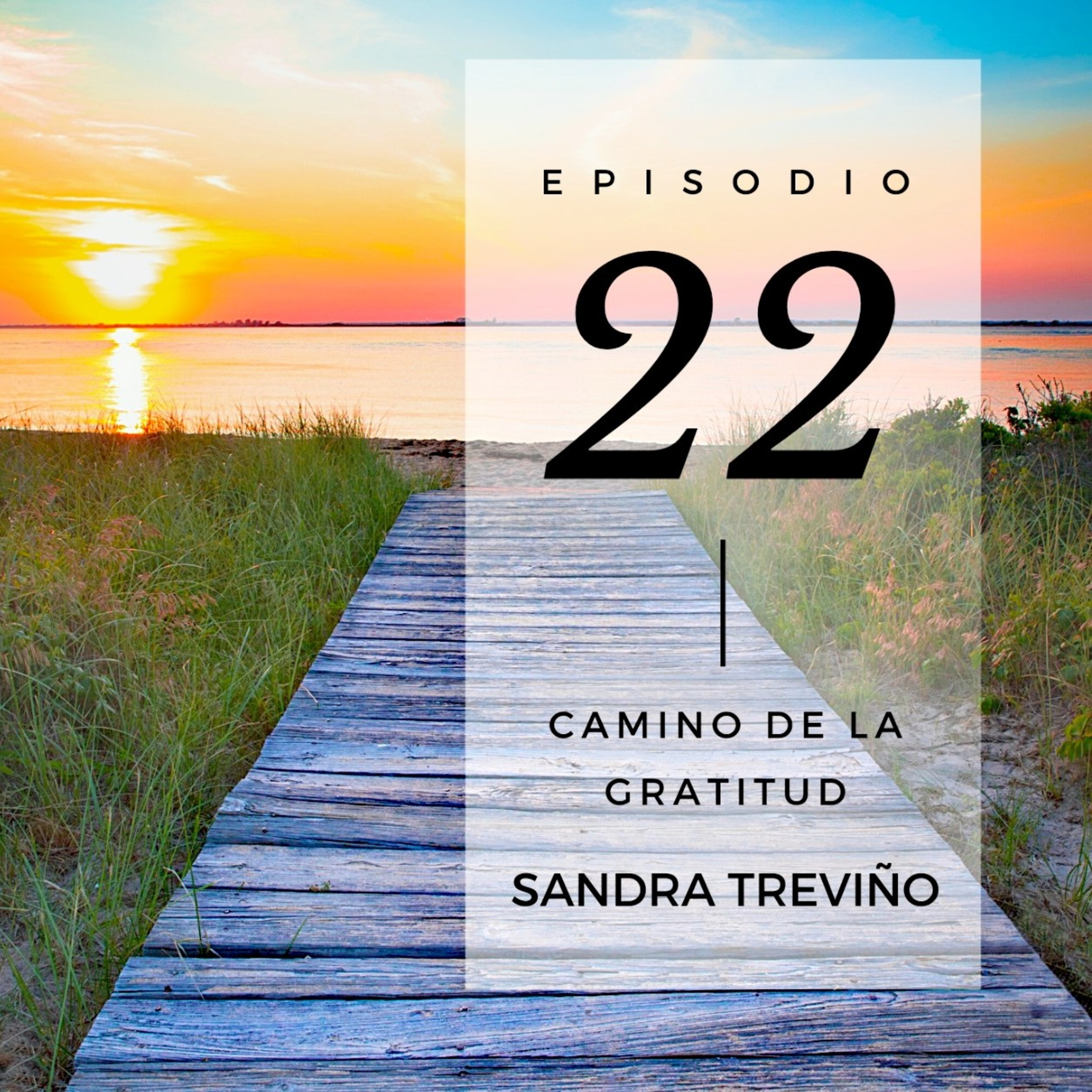 Sandra Treviño
