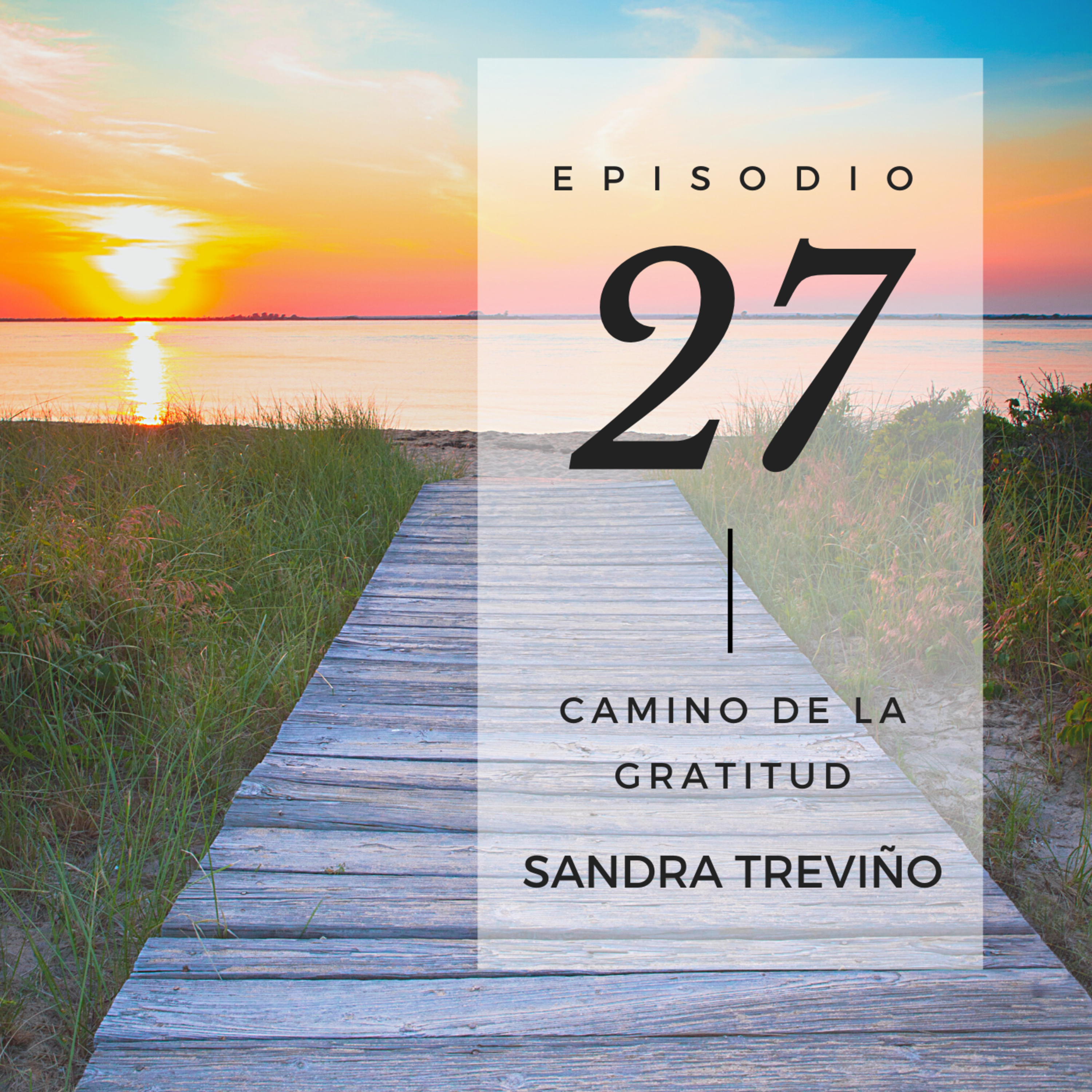 Sandra Treviño