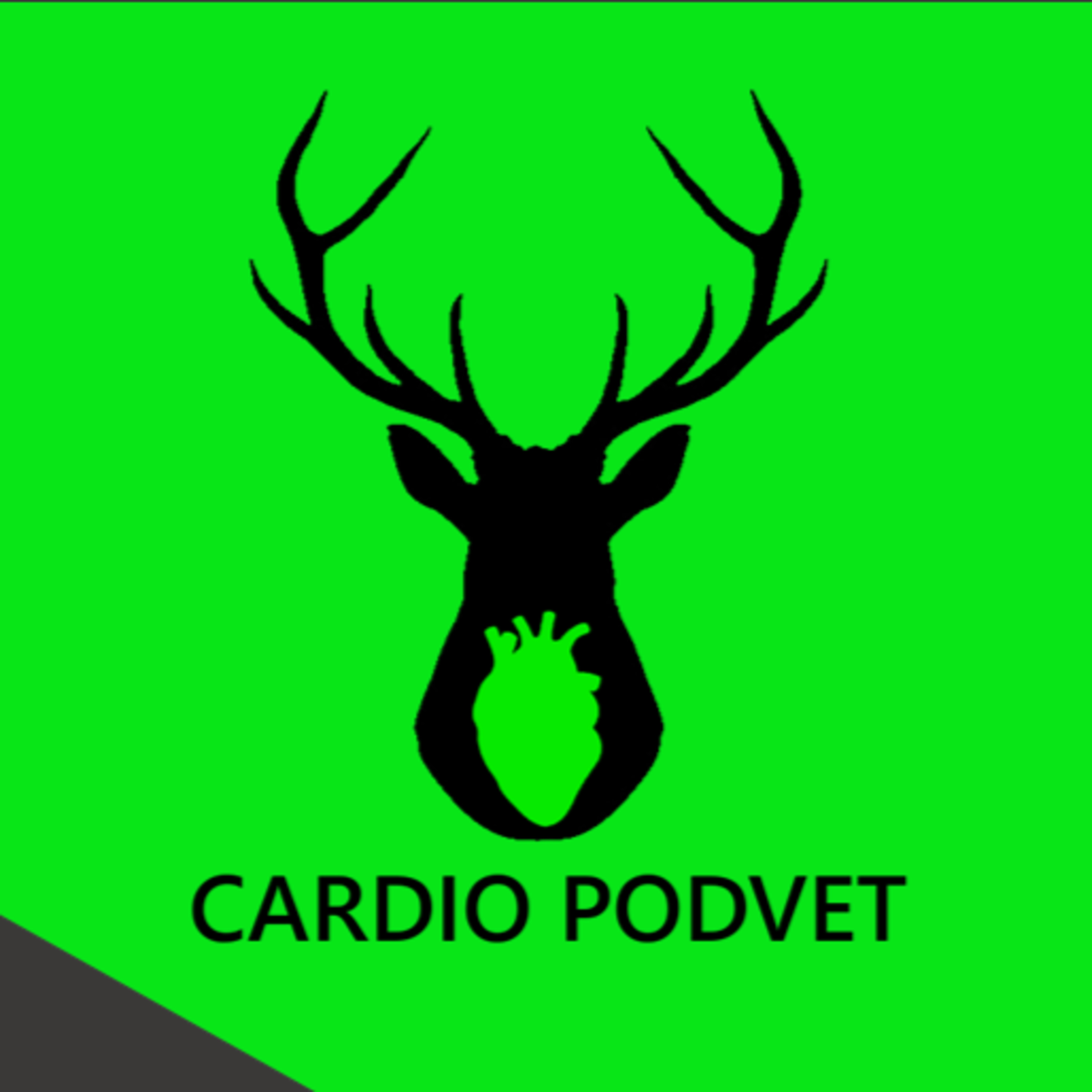 CARDIO PodVet
