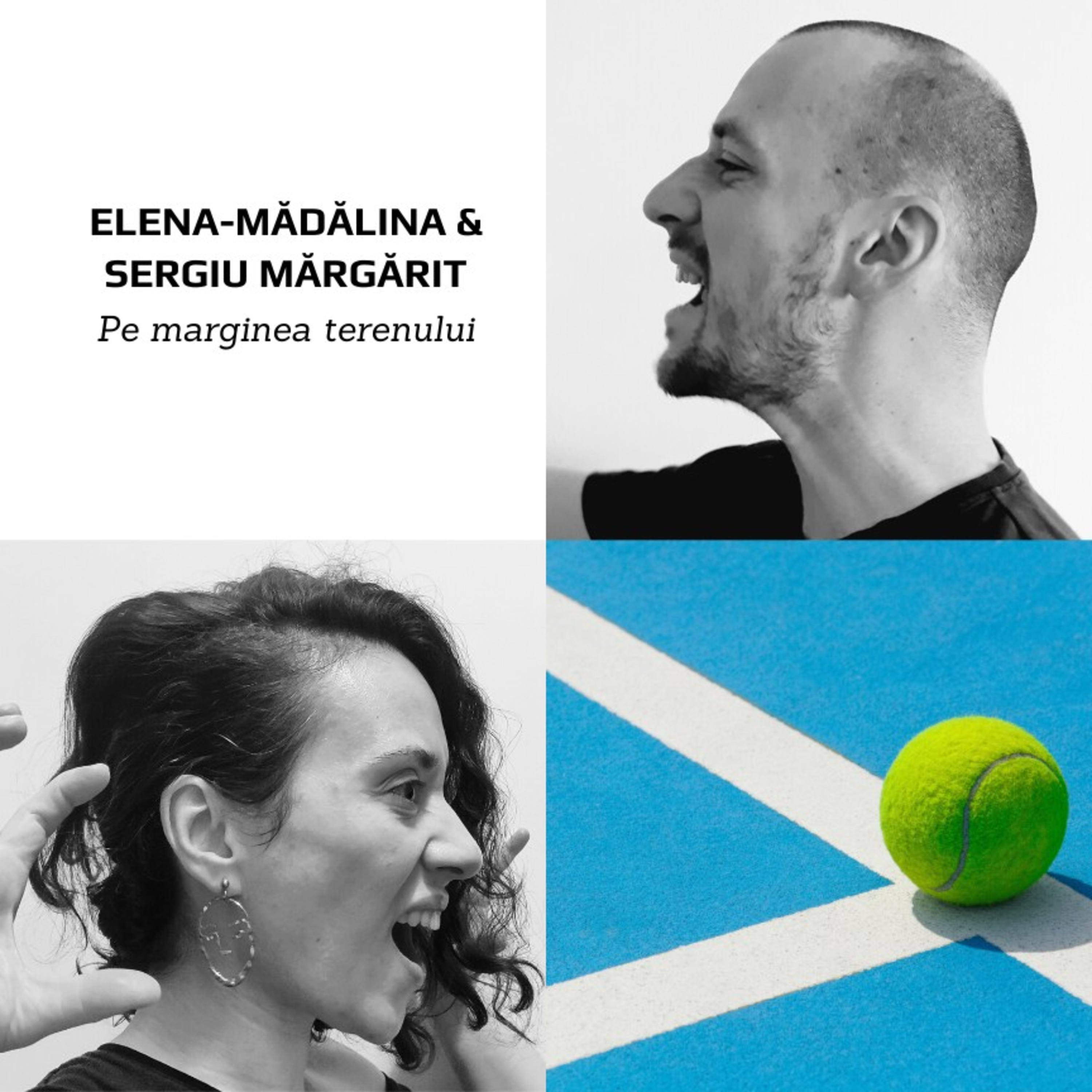 Pe marginea terenului