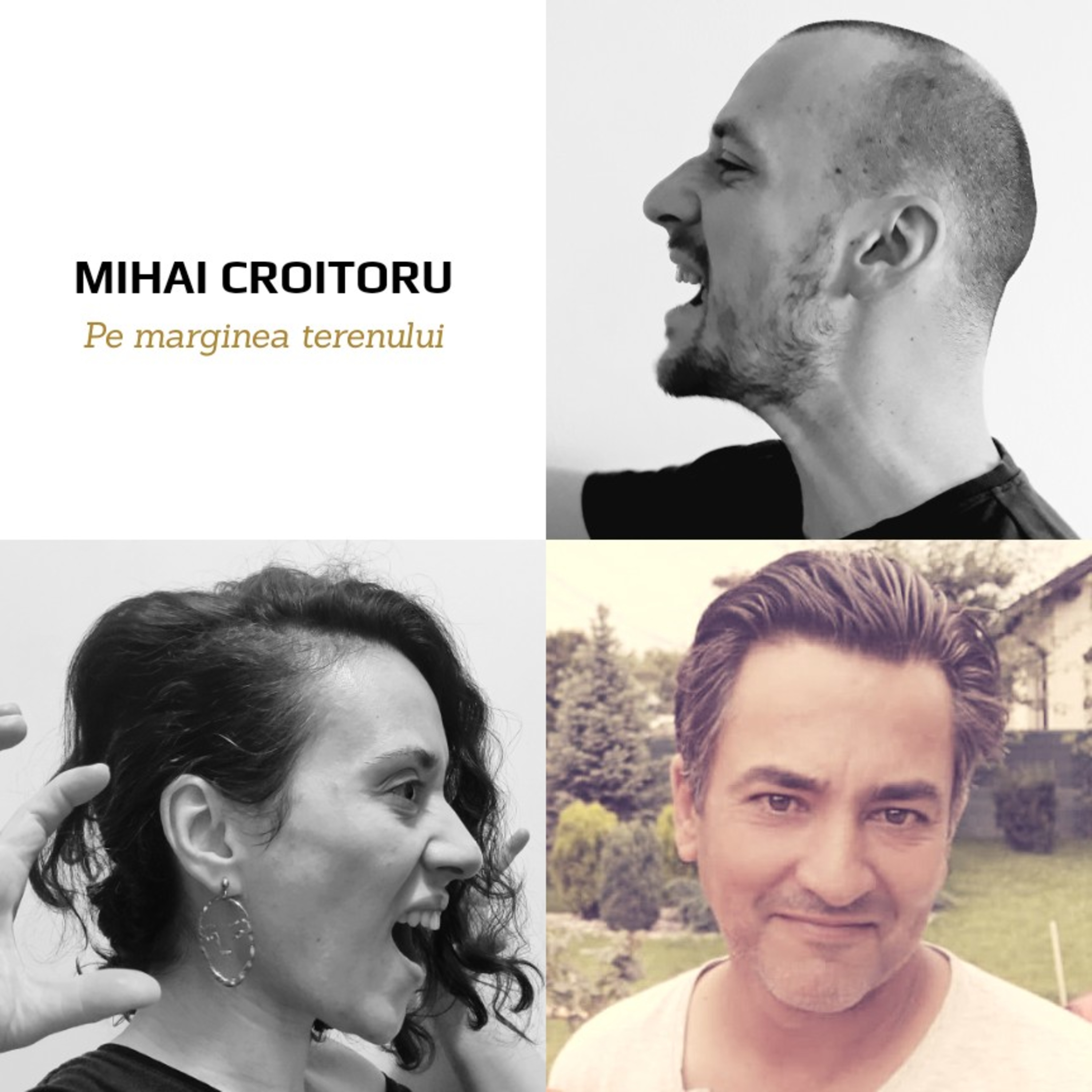 Pe marginea terenului