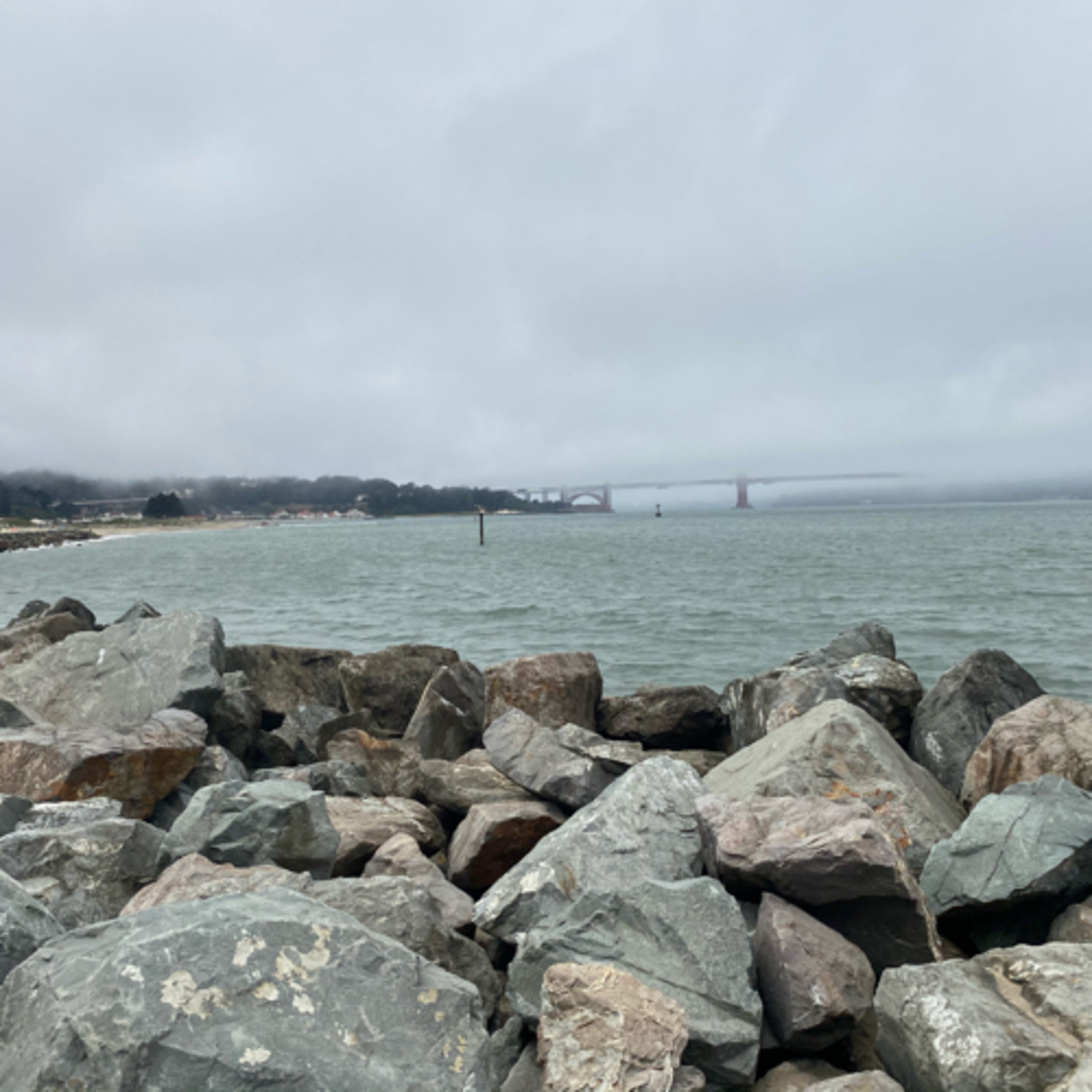 Invitation to swim 1000yds