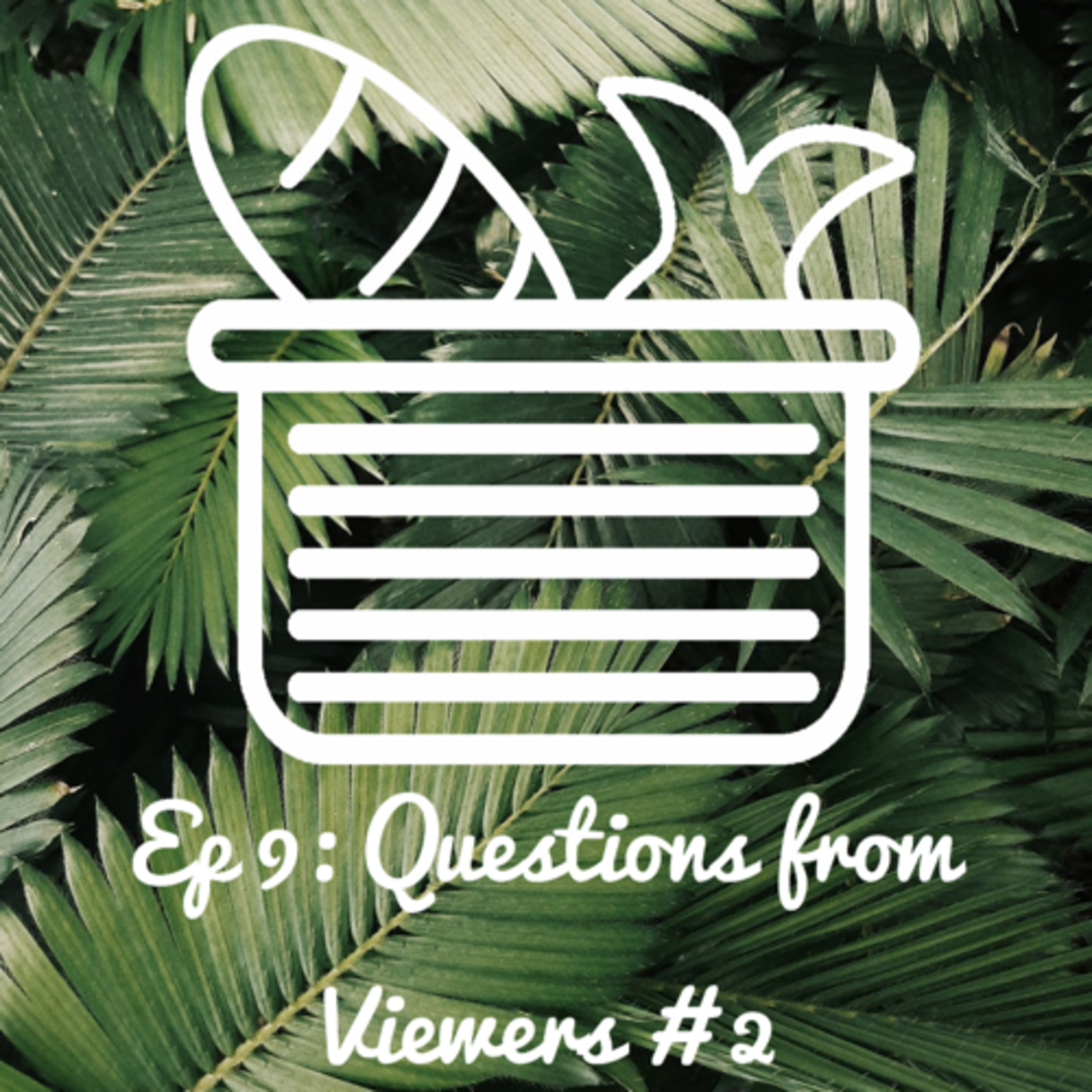 EP 9: Questions from Viewers #2 episode artwork