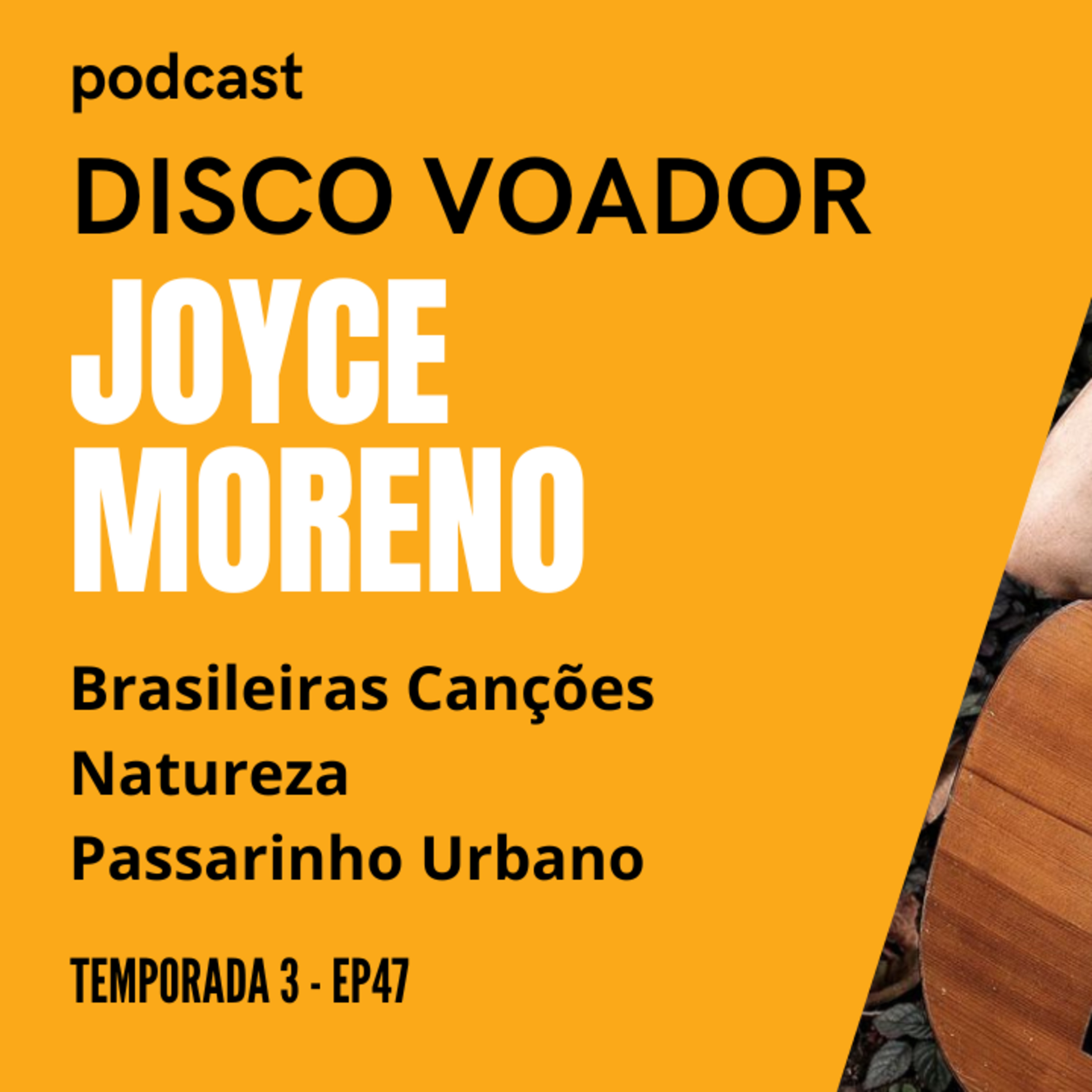 Disco Voador