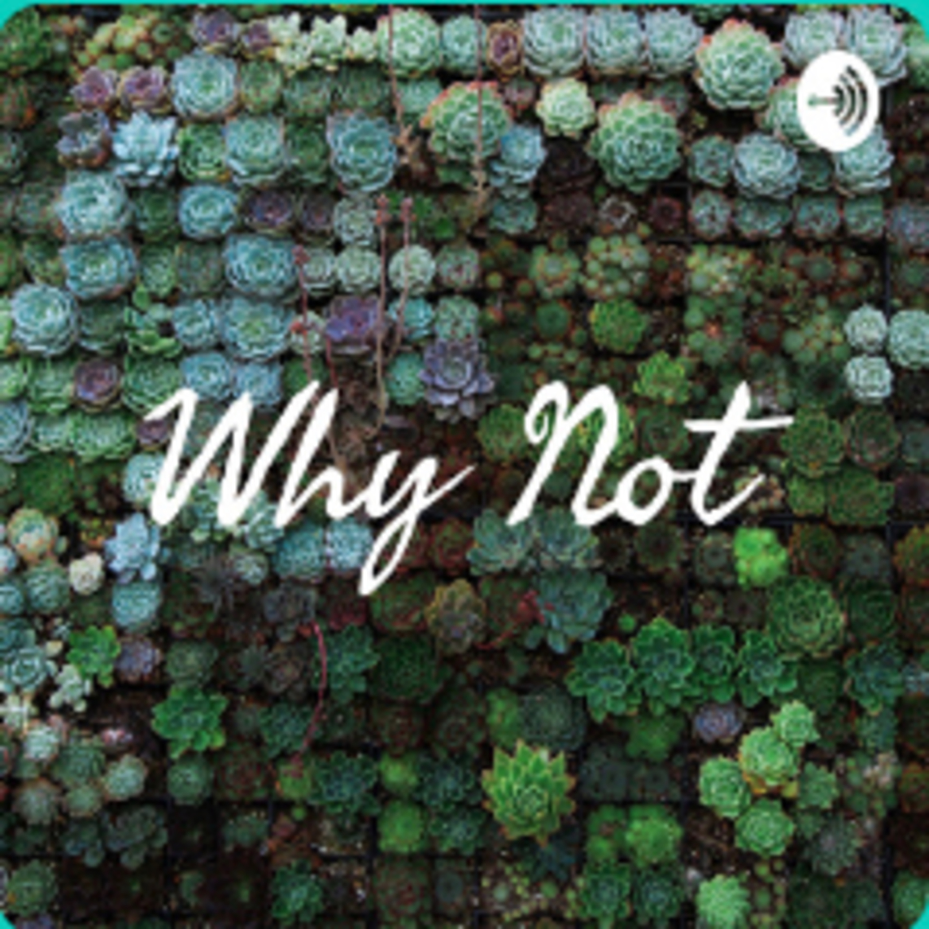 Intro to Why Not episode artwork