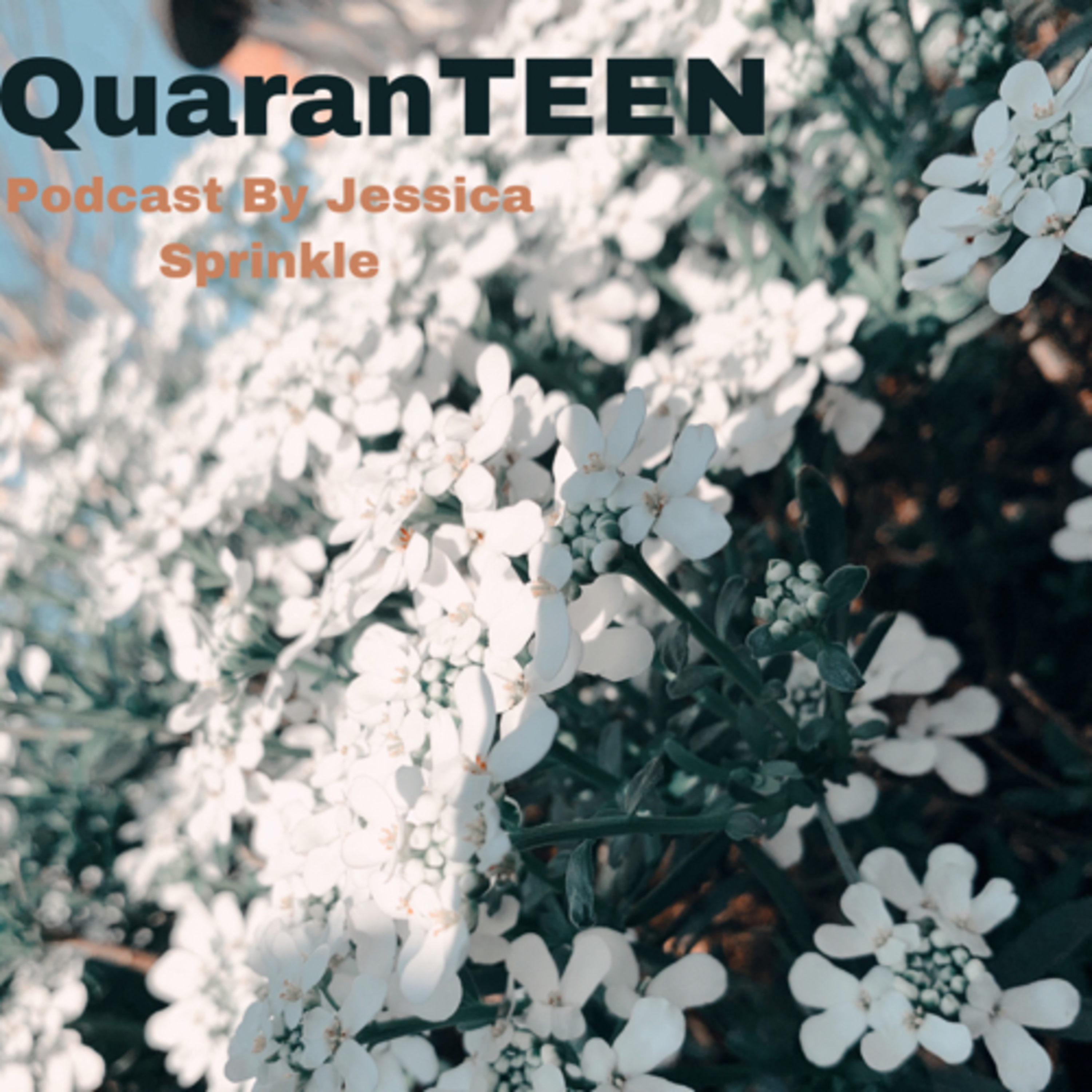 QuaranTEEN ep.1 episode artwork