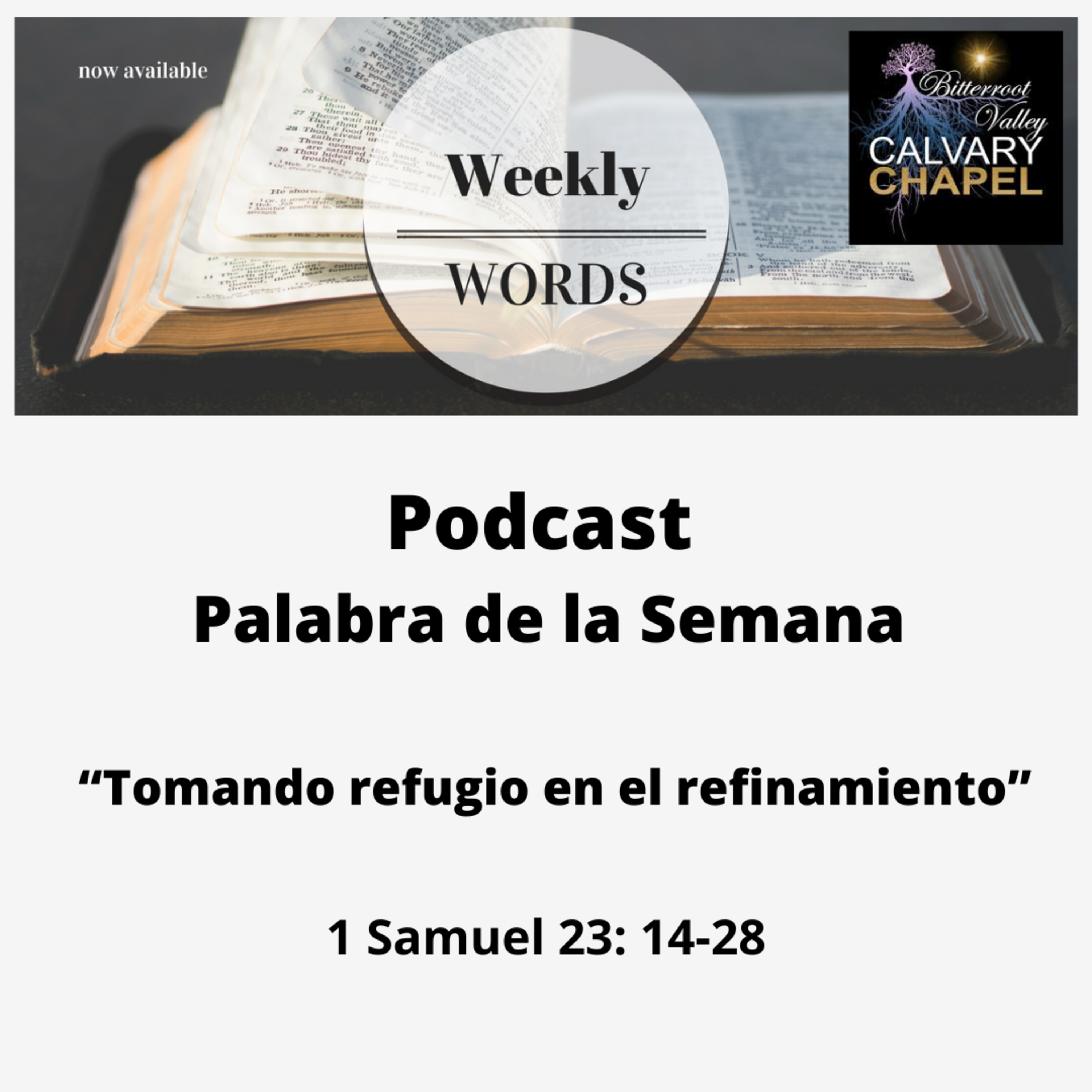 Palabra de la Semana “Tomando refugio en el refinamiento” 1 Samuel 23: 14-28 episode artwork