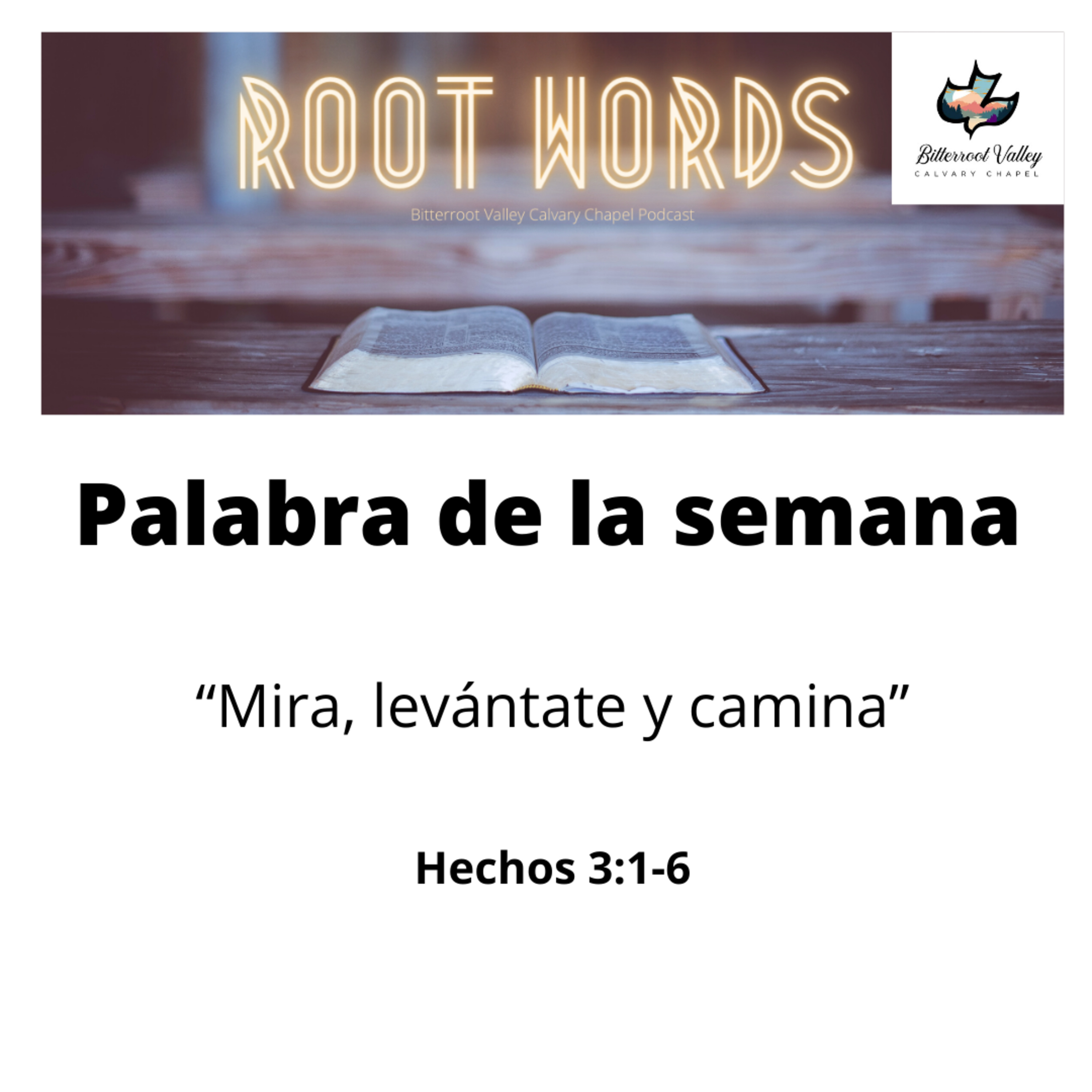 Palabra de la Semana “Mira, levántate y camina” Hechos 3:1-6 episode artwork
