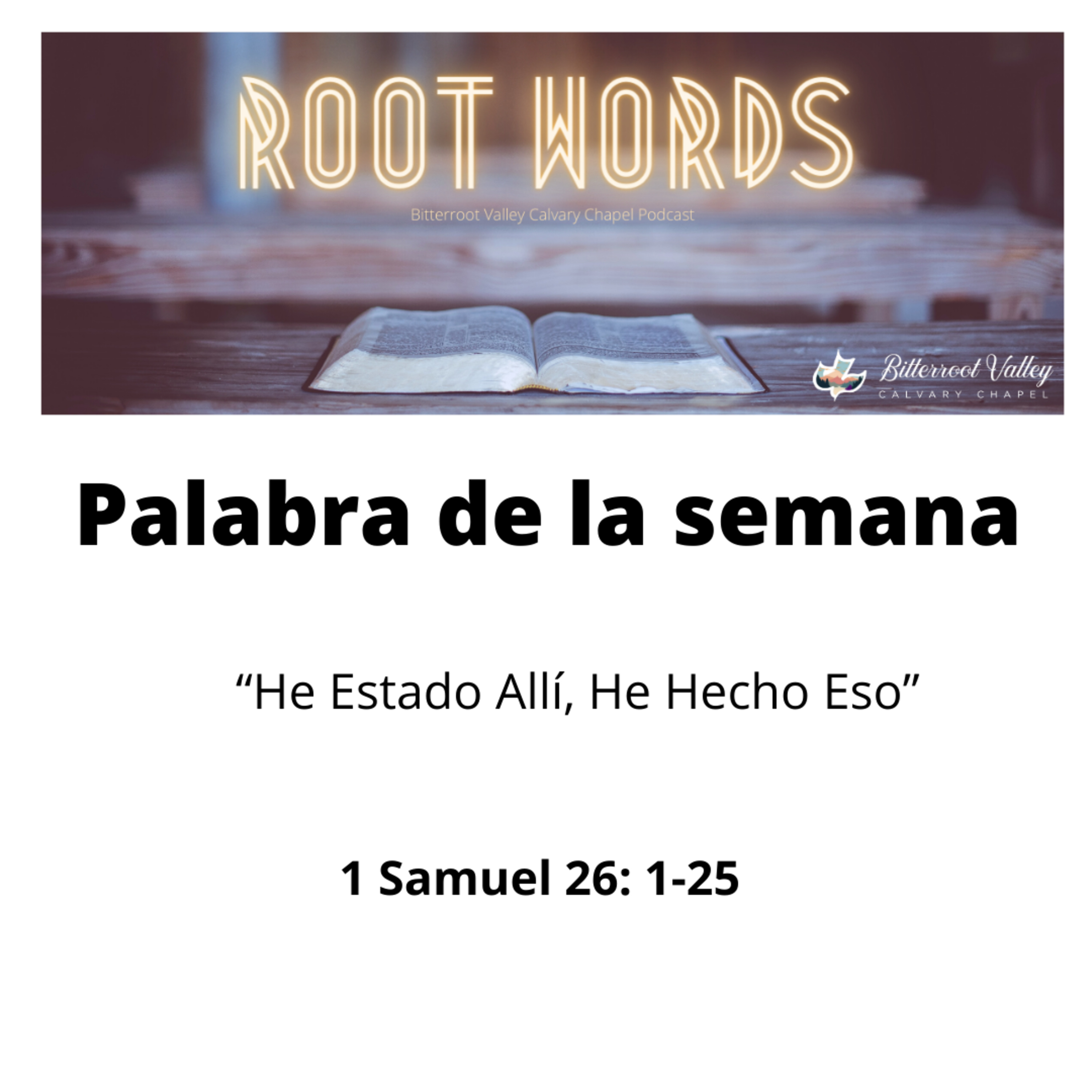 Palabra de la Semana "He Estado Allí, He Hecho Eso" 1 Samuel 26: 1-25 episode artwork