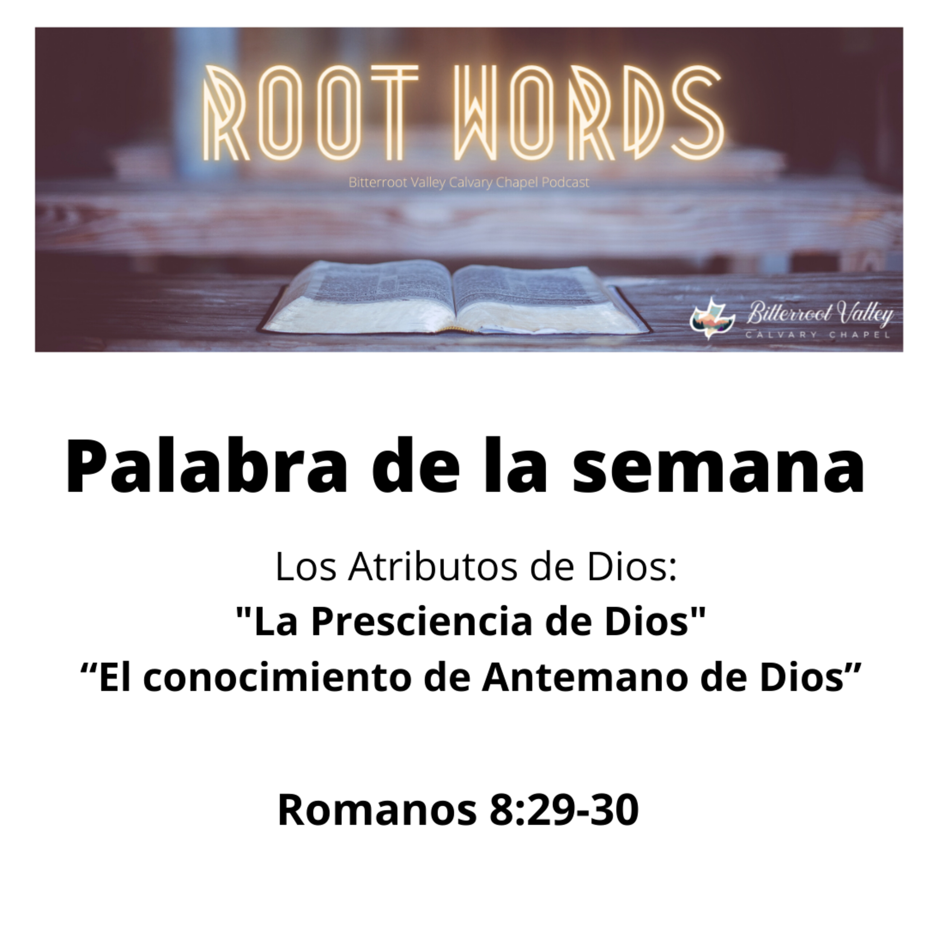 Palabra de la Semana" Atributo # 2: La Presciencia de Dios: “El conocimiento de Antemano de Dios” episode artwork