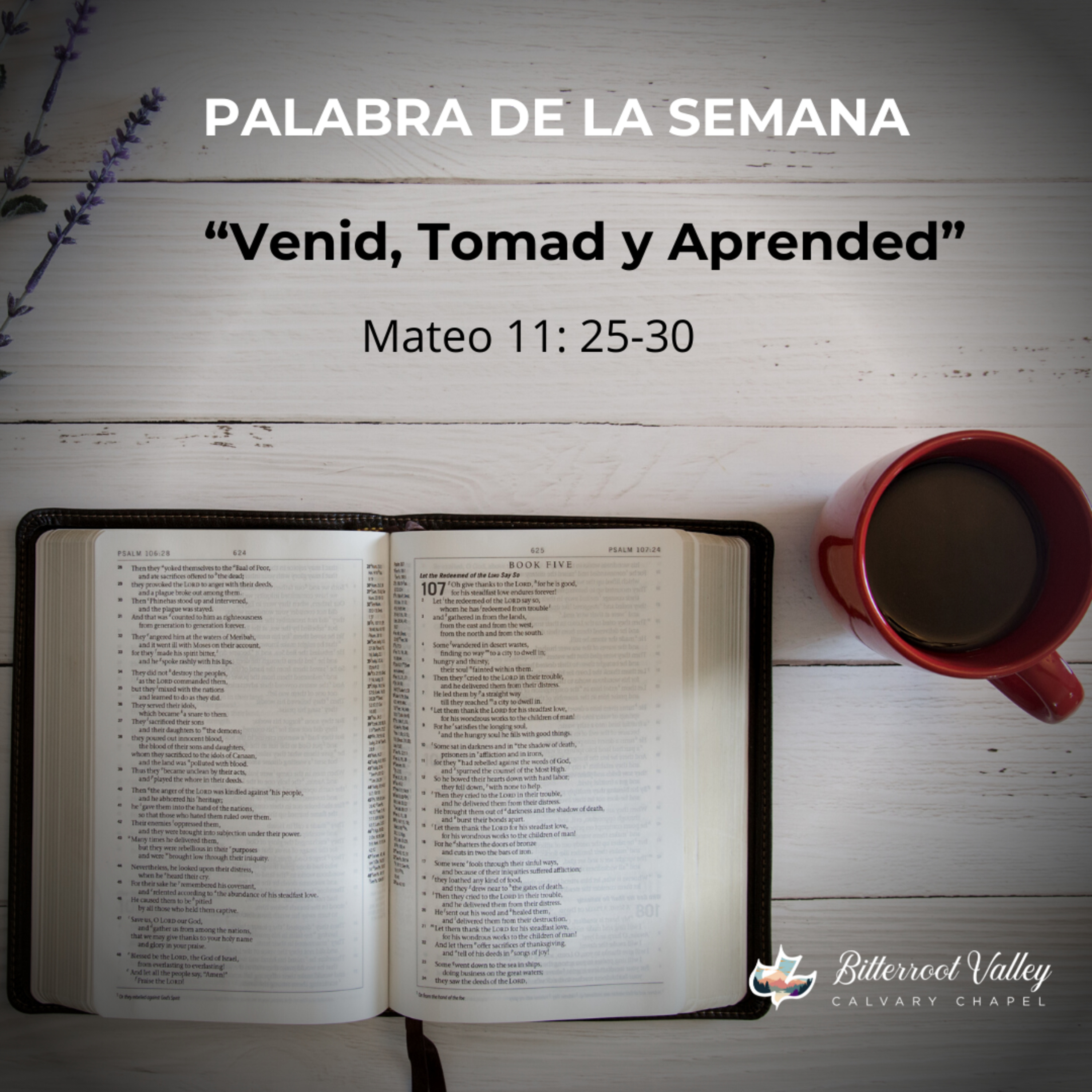 Palabra de la Semana “Venid, Tomad y Aprended” Mateo 11:25-30 episode artwork