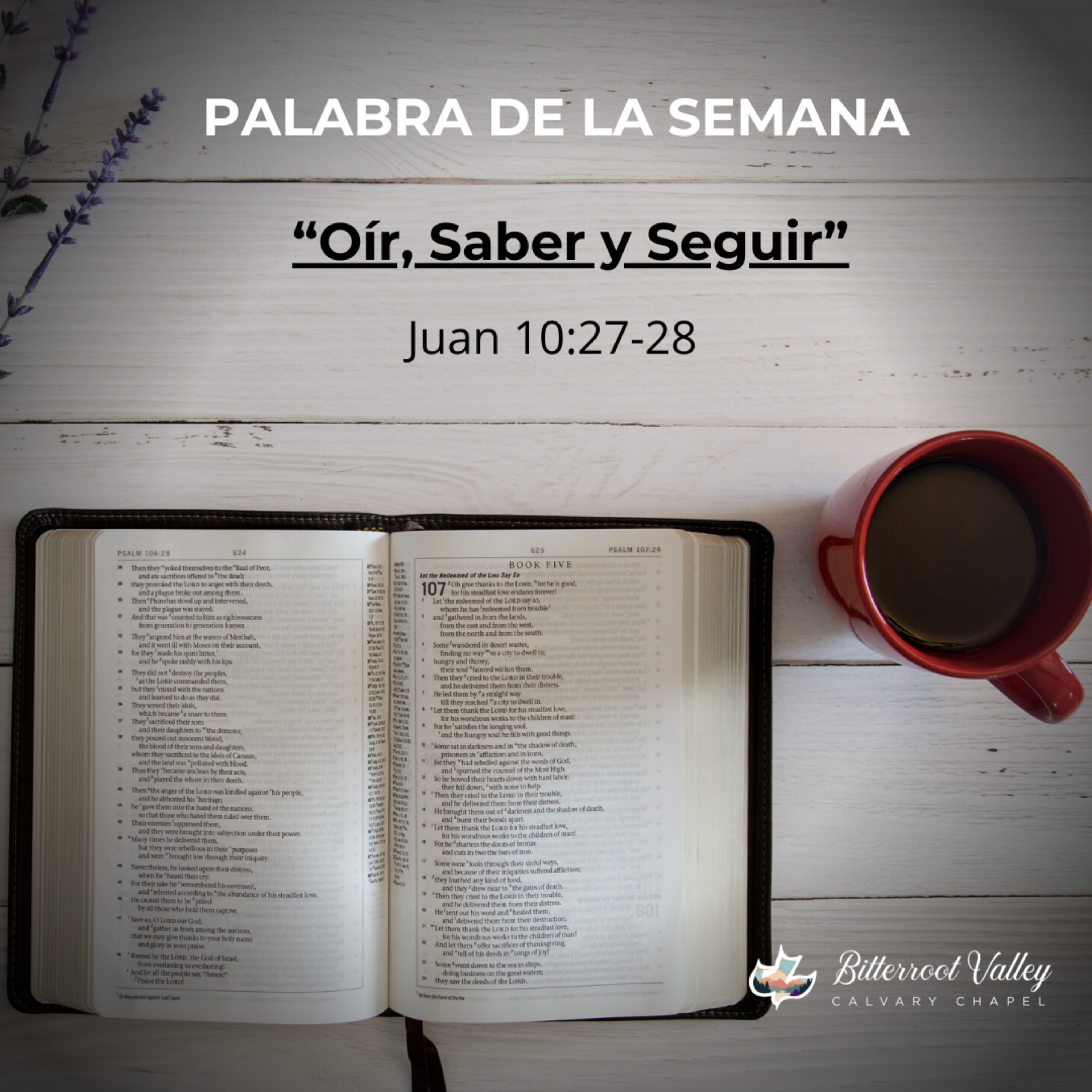 Palabra de la Semana “Oír, Saber y Seguir” Juan 10:27-28 episode artwork
