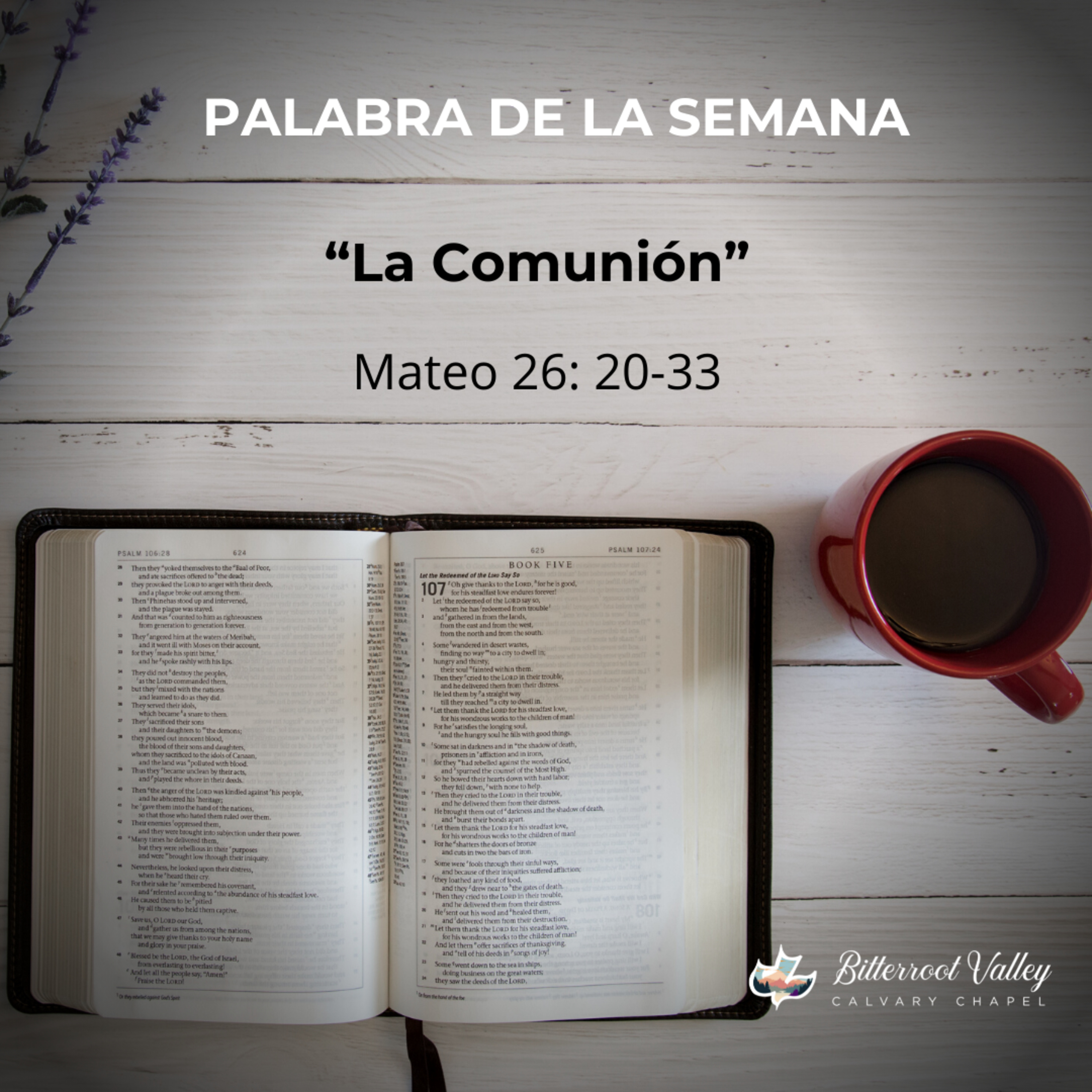 Palabra de la Semana “La Comunión” Mateo 26: 20-33 episode artwork