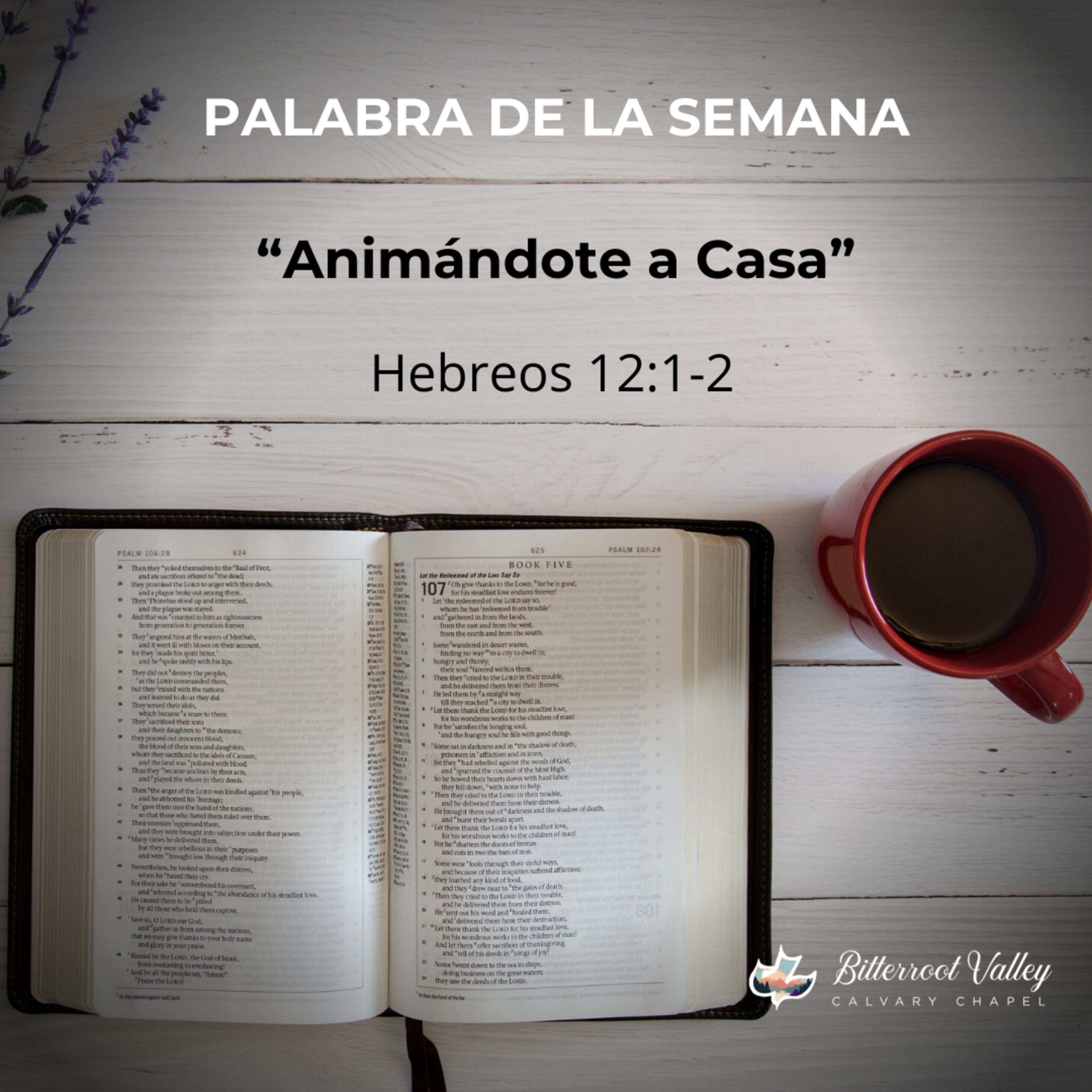 Palabra de la Semana “Animándote a Casa” Hebreos 12:1-2 episode artwork