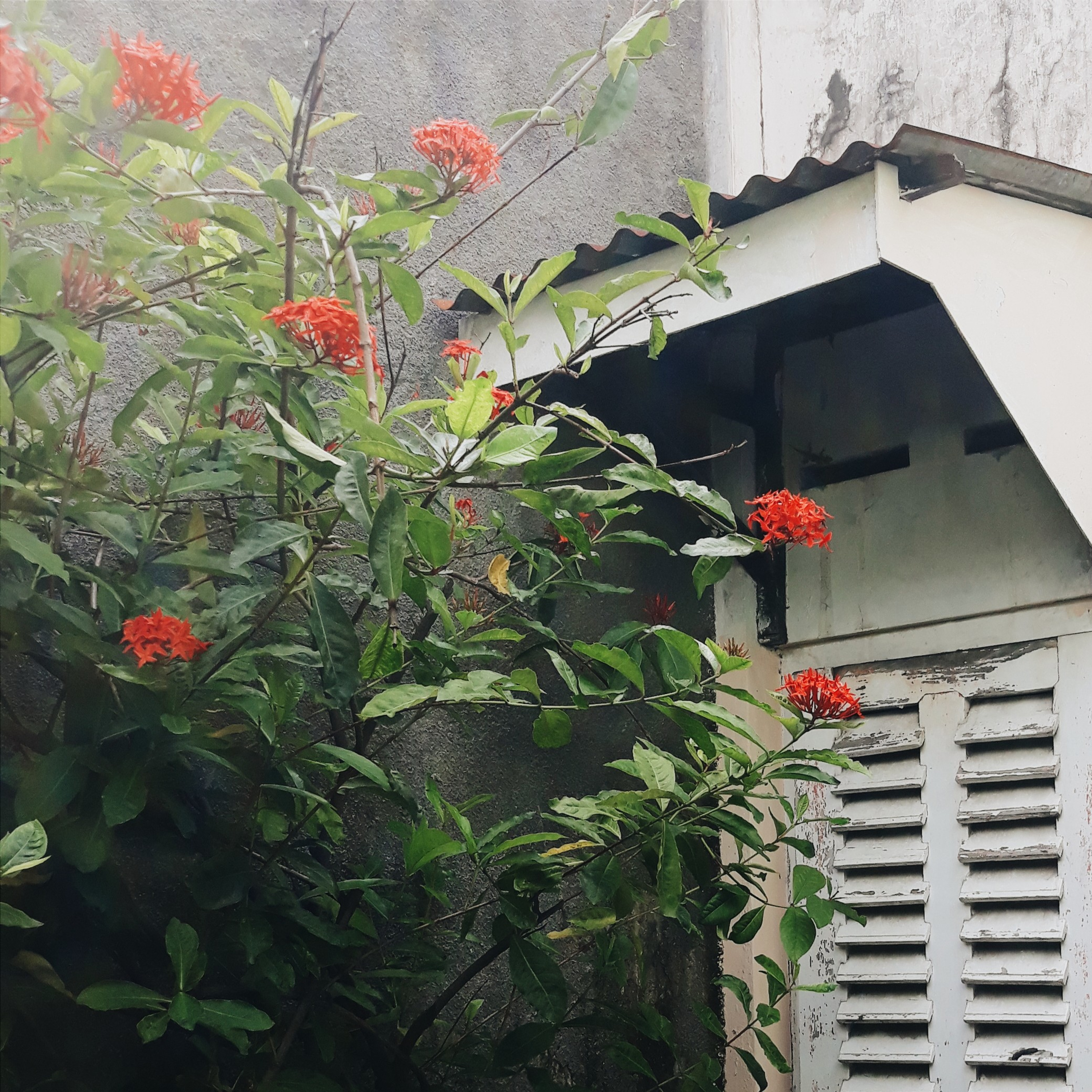cerita di bawah tanah