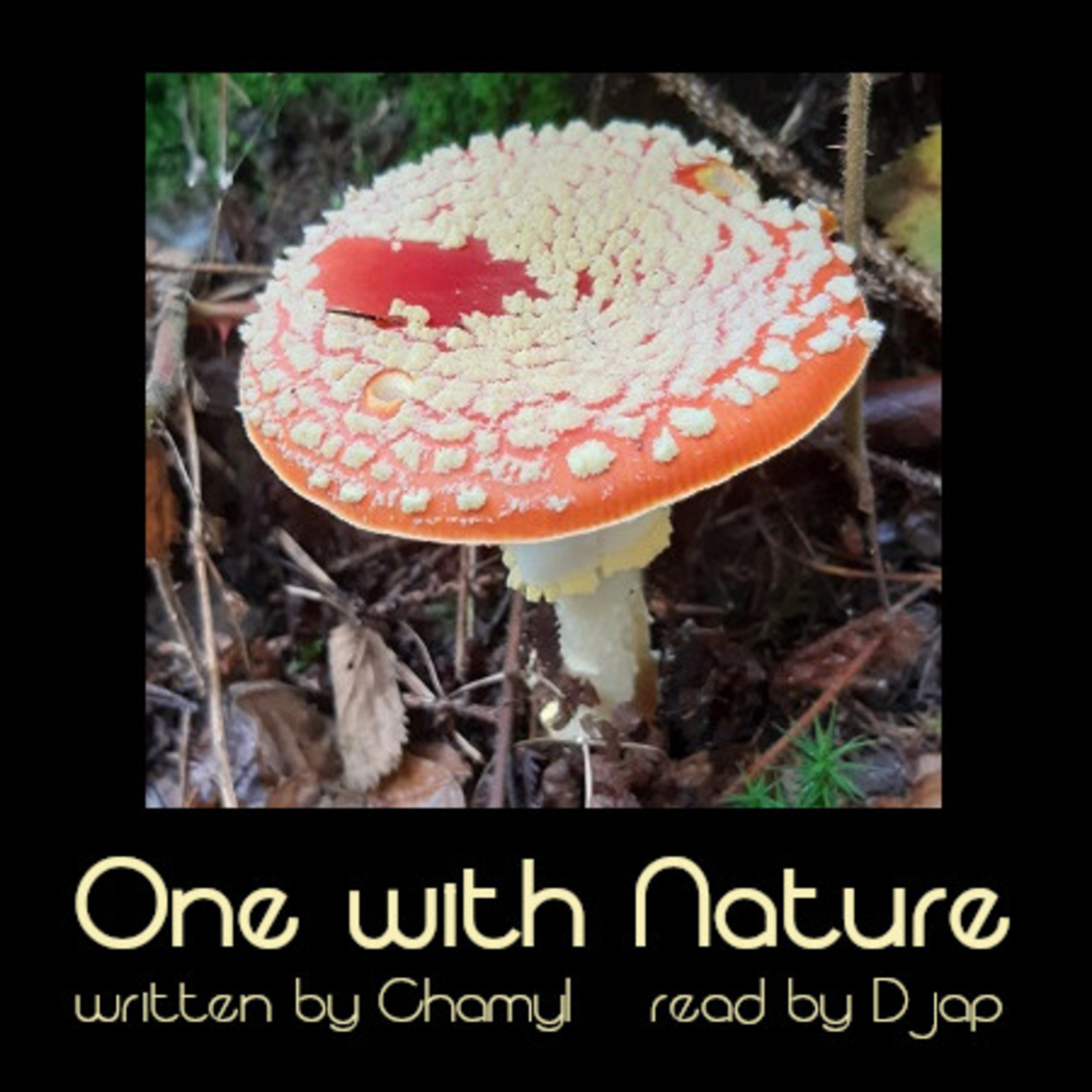 Good Omens Podfic Collection