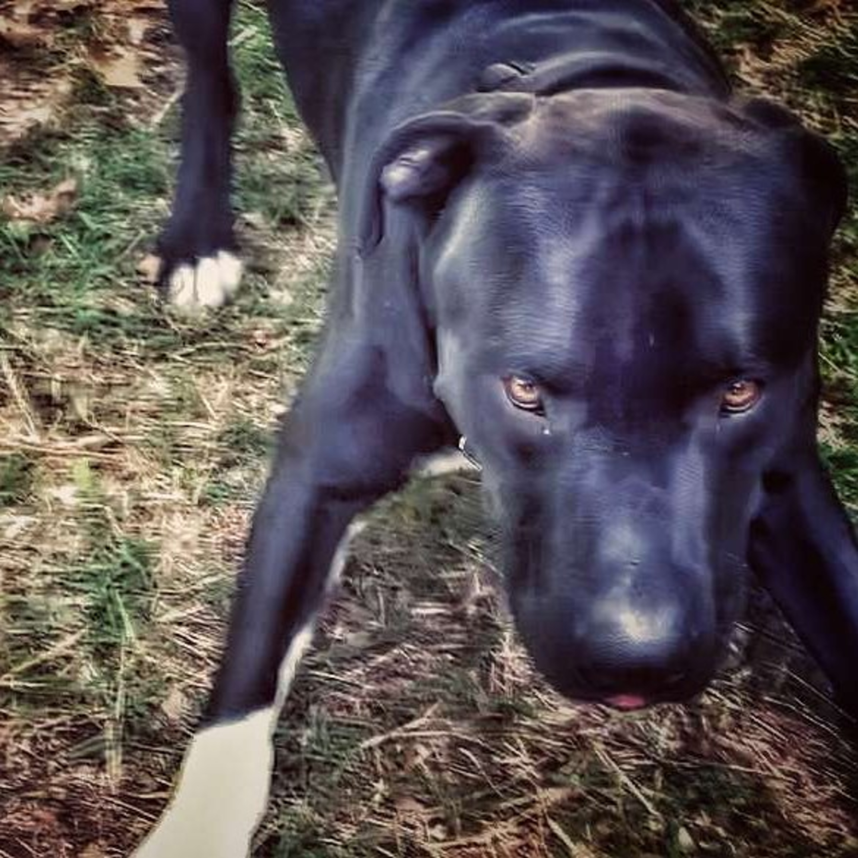 Waiting For Ascension