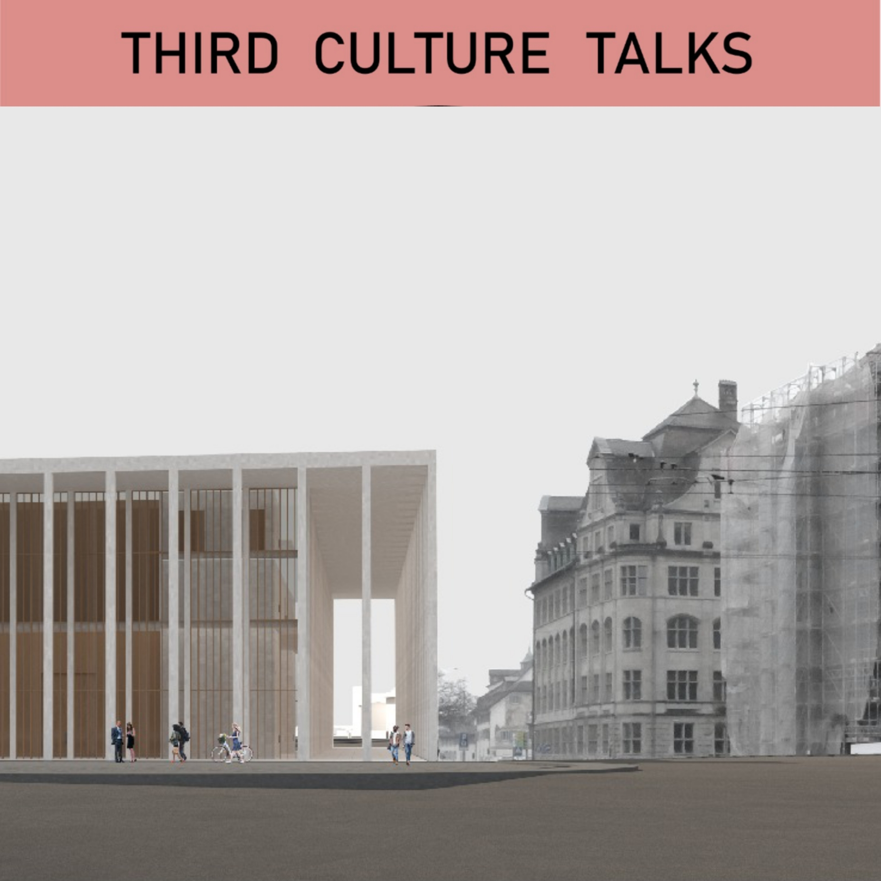 Third Culture Talks