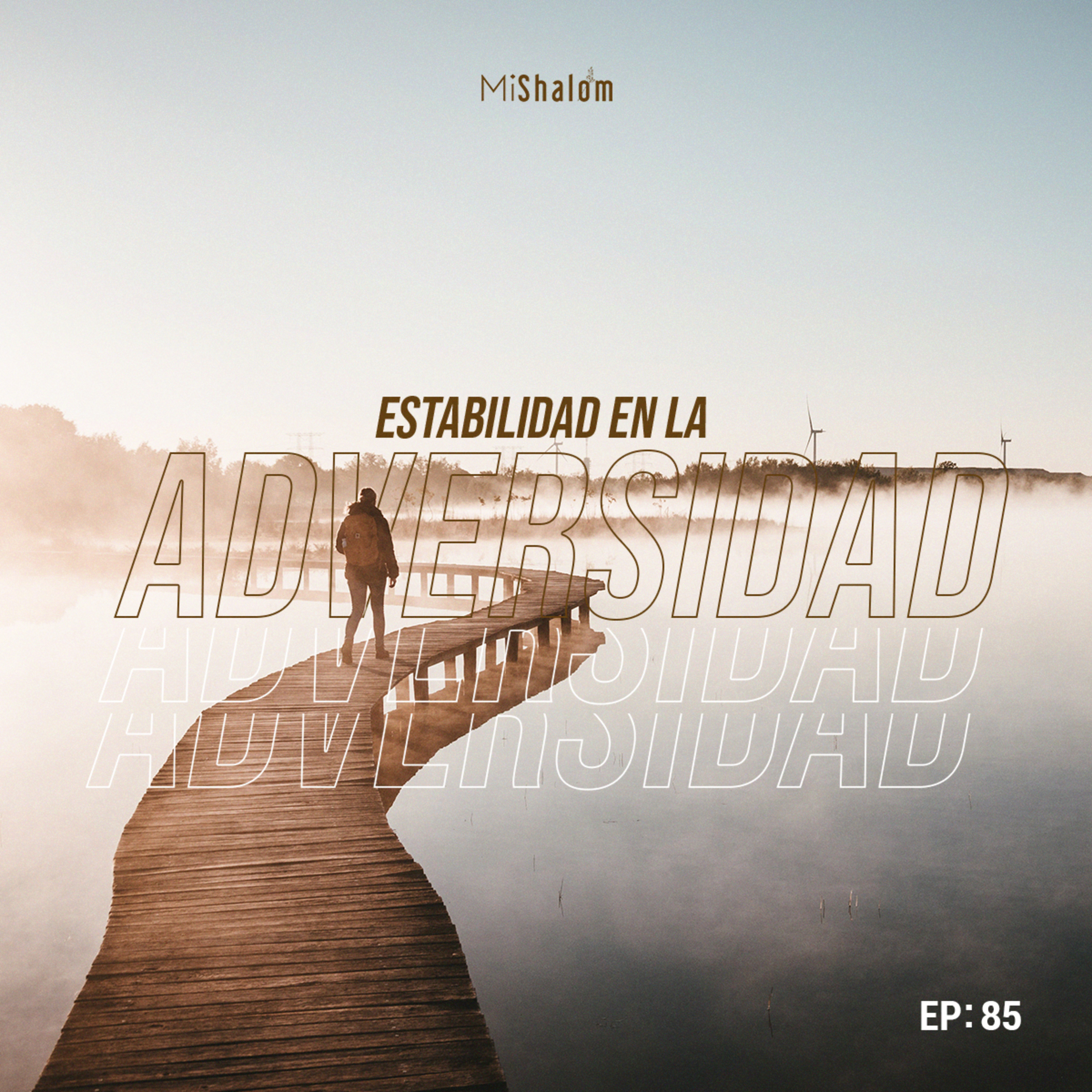 EP 85: Estabilidad en la Adversidad - Marco Argeñal Jr. episode artwork